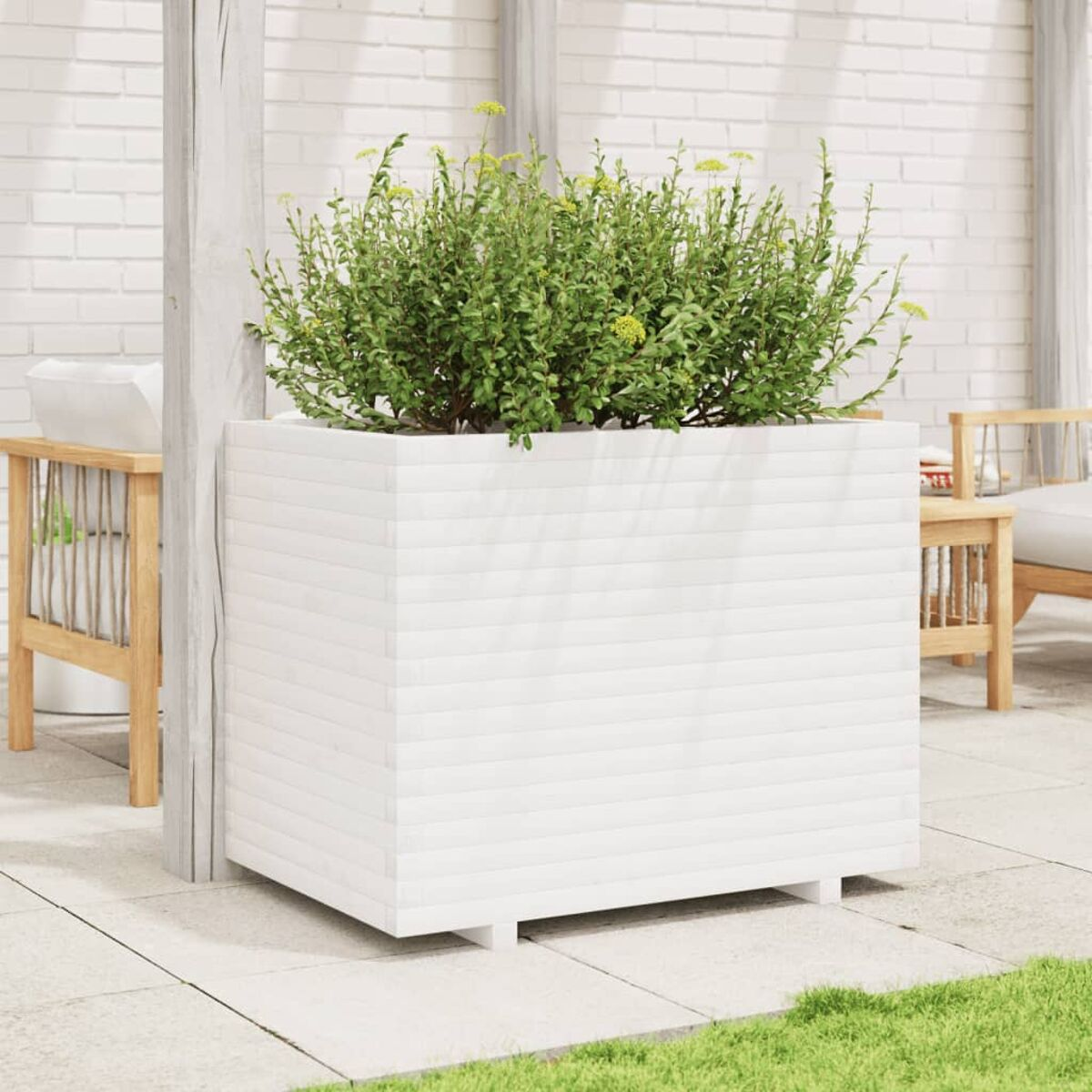 Ein weißer quadratischer Pflanzkasten mit einem grünen Busch und gelben Blüten; Hintergrundmöbel.