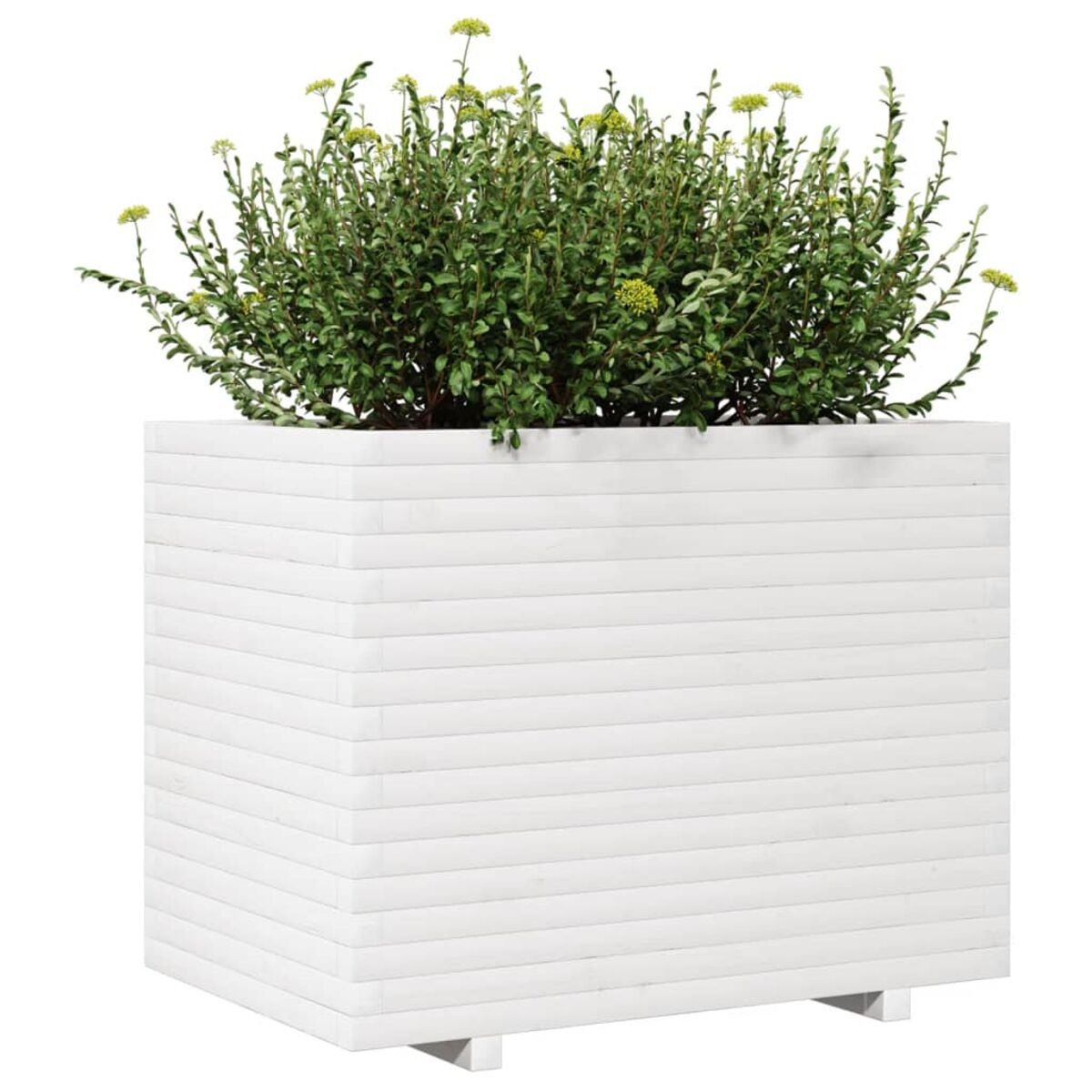 Weißer Holzpflanzer mit einer grünen Pflanze. Der Pflanzer ist quadratisch und hat ein horizontales Lamellendesign.