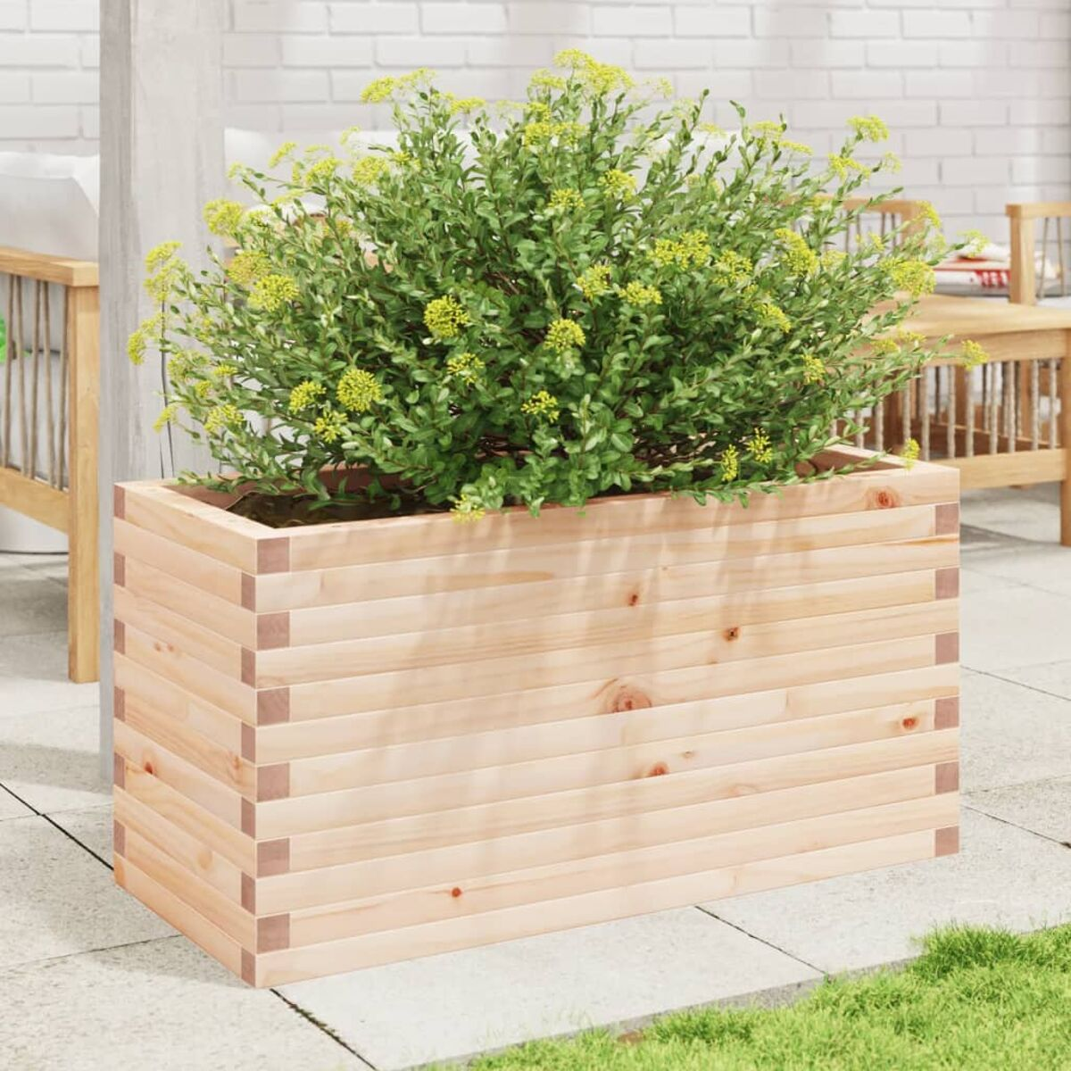 Holz-Pflanzkasten mit grünem Busch und gelben Blüten auf einer Terrasse. Weiße Ziegelmauer und Gras im Hintergrund.