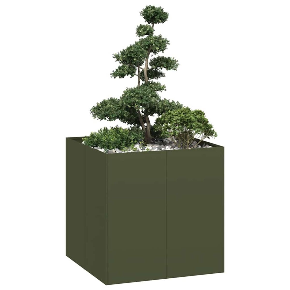 Fioriera verde con piante. Fioriera verde scuro, varie piante, ciottoli bianchi, sfondo bianco.