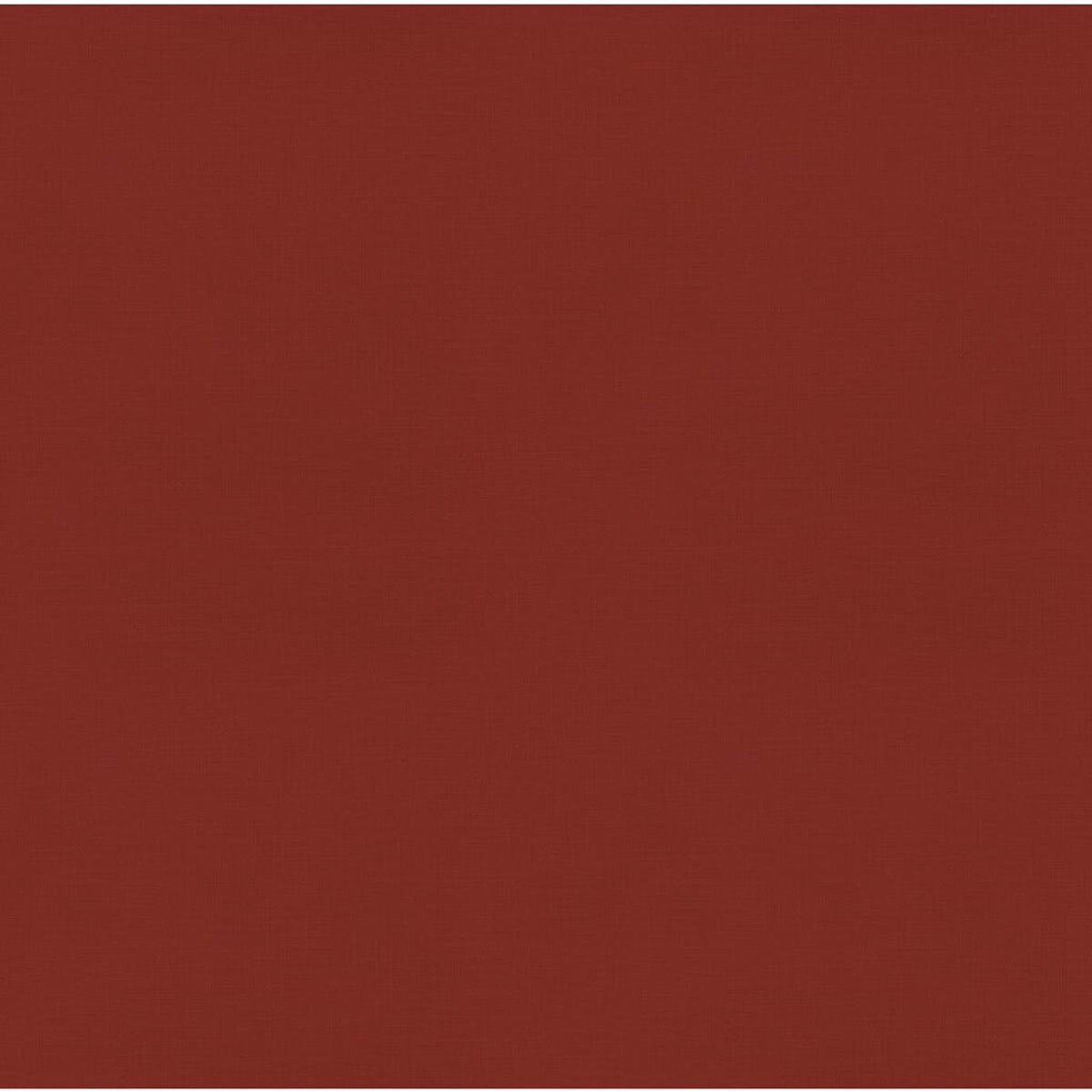 Primo piano di uno sfondo rosso ruggine pieno, con un aspetto leggermente strutturato.