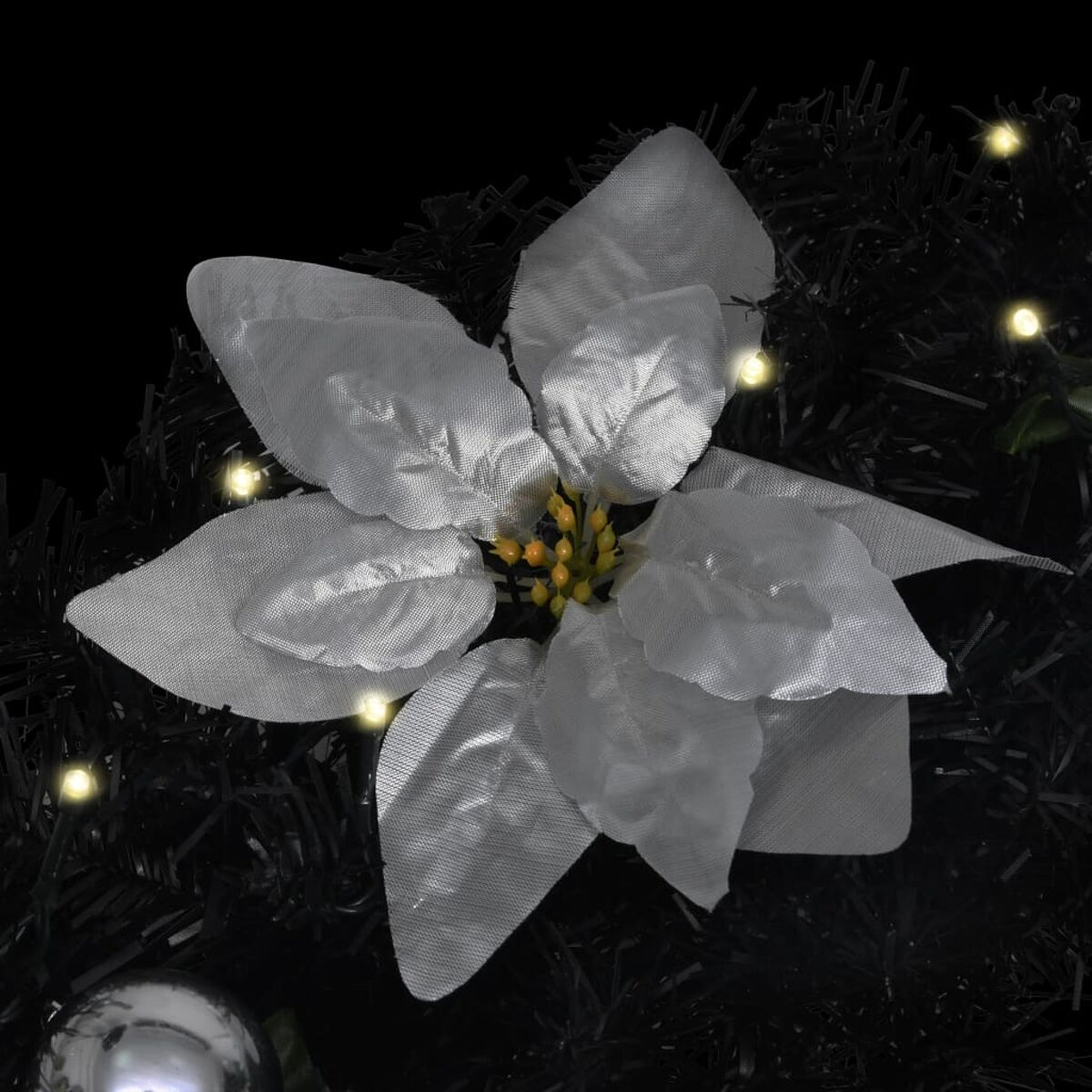 Weiße Weihnachtssternblume mit gelbem Zentrum auf schwarzem Hintergrund. Kleine Lichter drumherum.