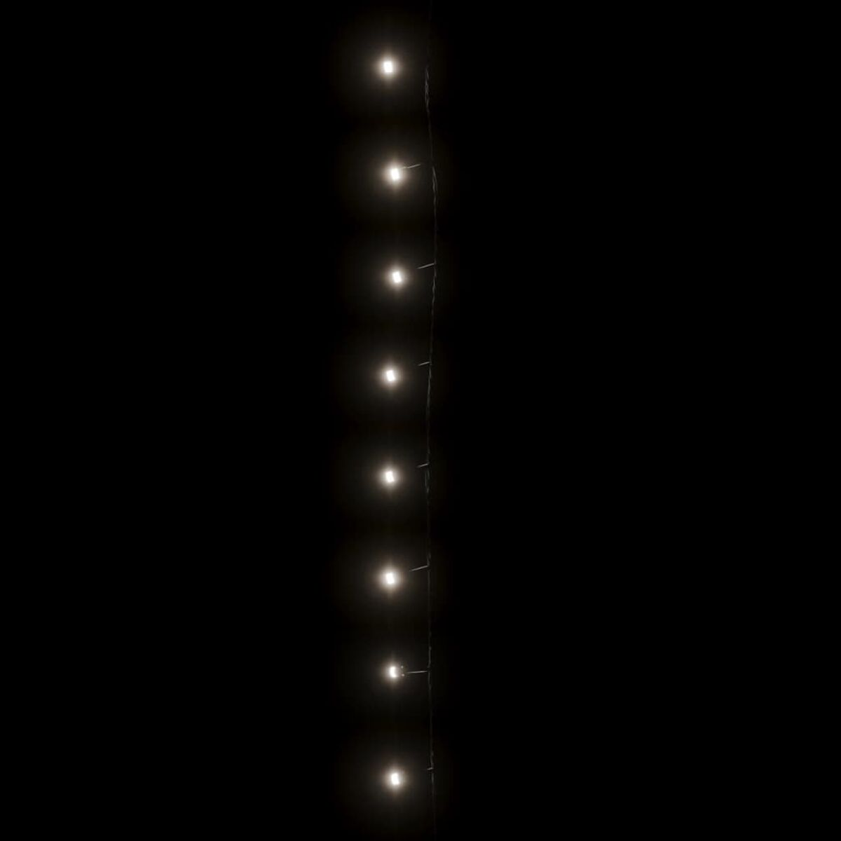 Eine Schnur mit kleinen Lichtern. Sie sind weiß und auf schwarzem Hintergrund.