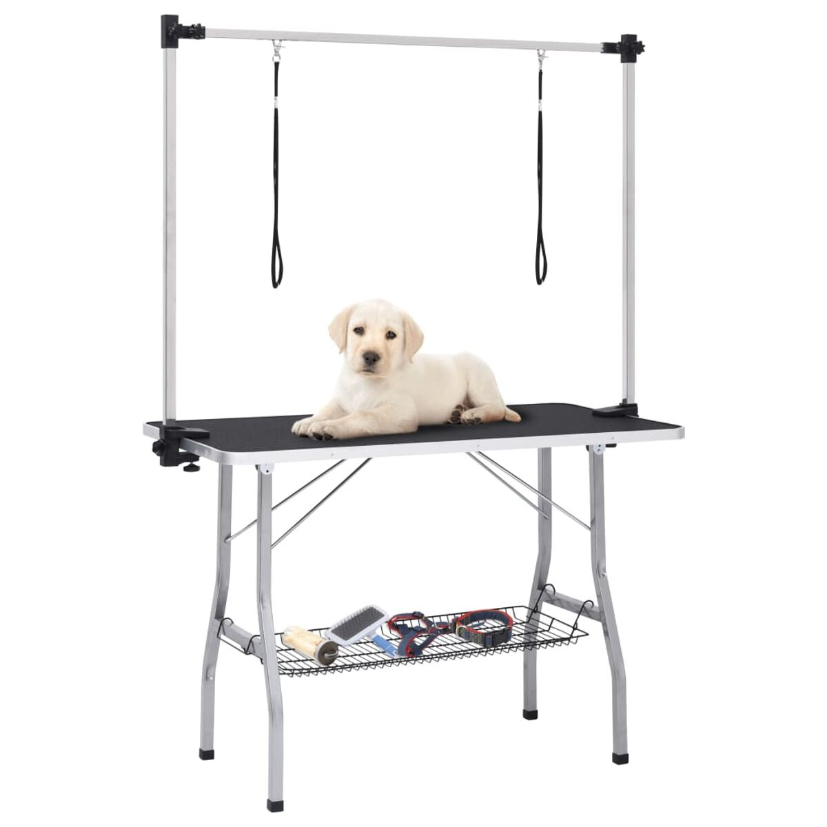 Ein Hundefrisiertisch mit einem Hund, der darauf liegt. Der Hintergrund ist weiß.