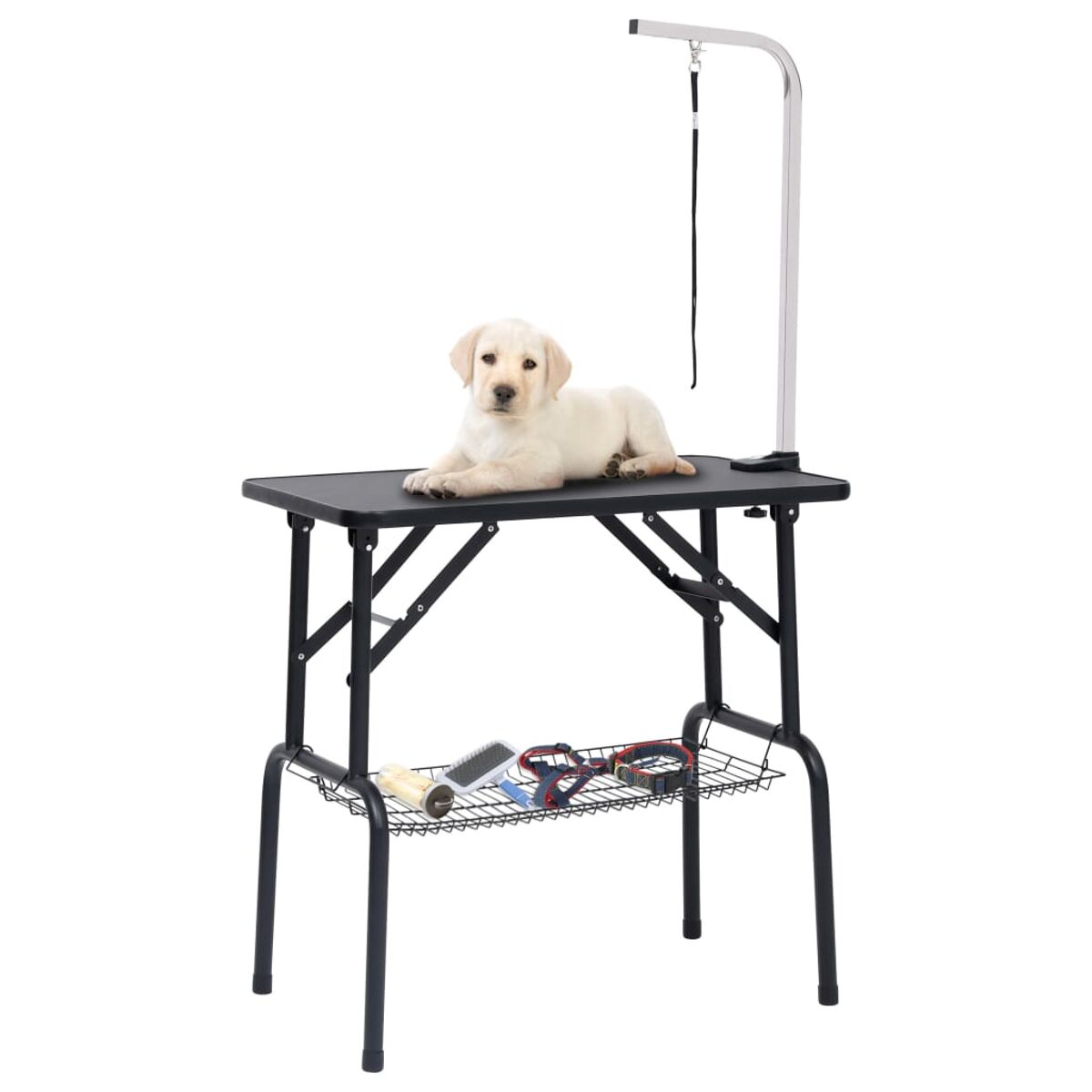 Welpe auf dem Grooming-Tisch mit Zubehör. Tisch hat ein Regal mit Pflegeutensilien. Weißer Hintergrund.
