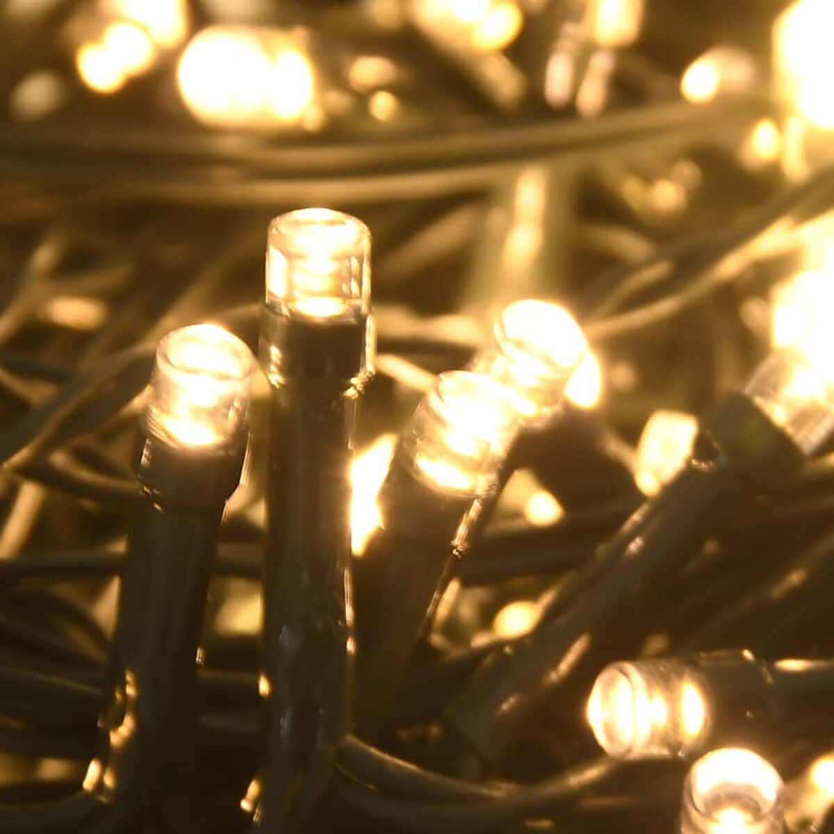 Nahaufnahme kleiner, heller LED-Leuchten an einem dunkelgrünen Draht. Weißer Hintergrund.