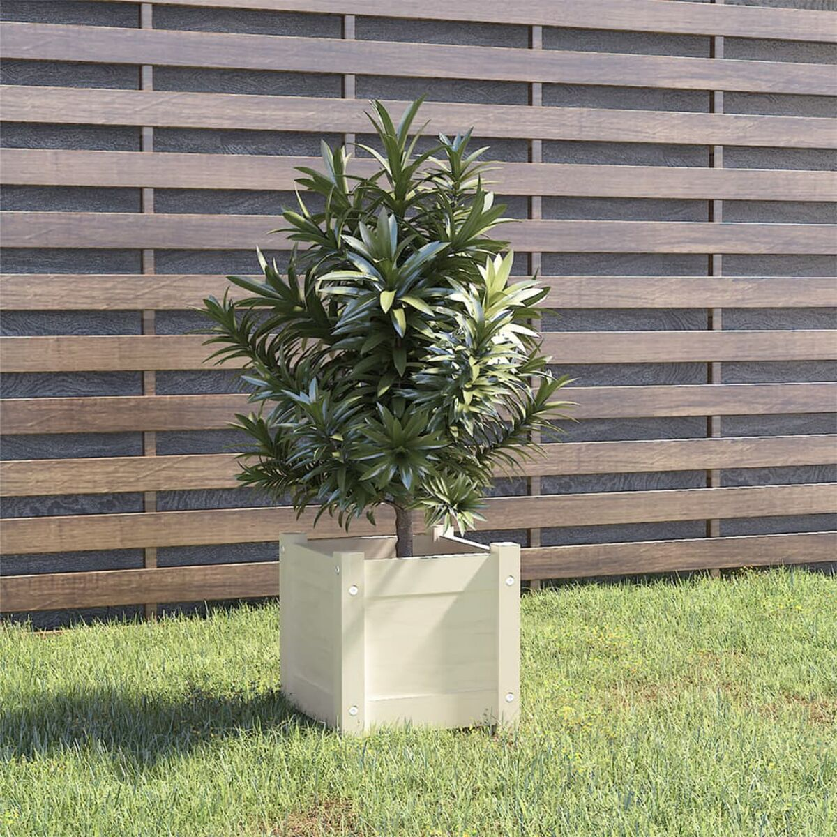 Kleiner Baum in einem beigen quadratischen Pflanzkübel steht auf grünem Gras.