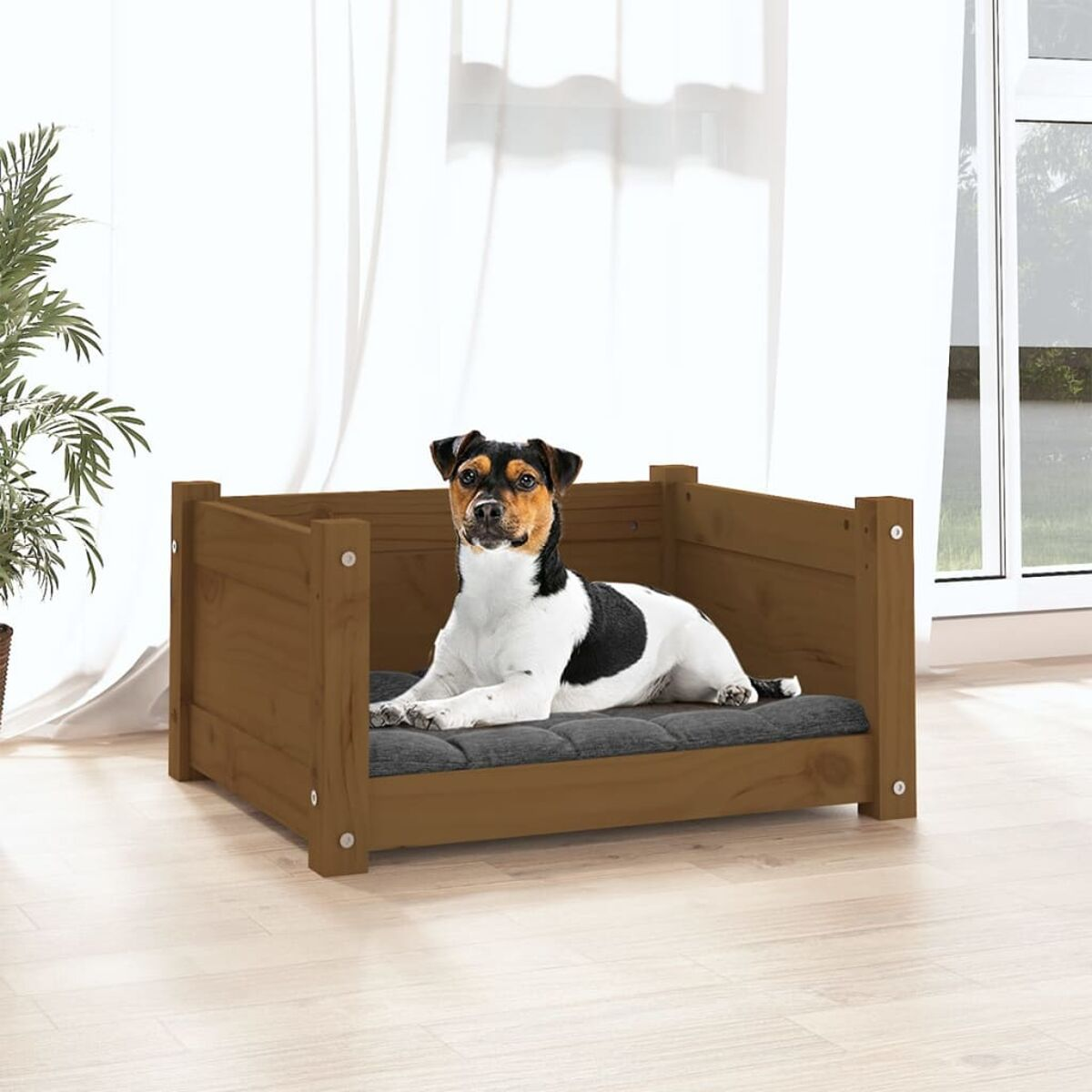 Hund in einem Hundebett aus Holz. Der Hund ist dreifarbig und schaut in die Kamera.