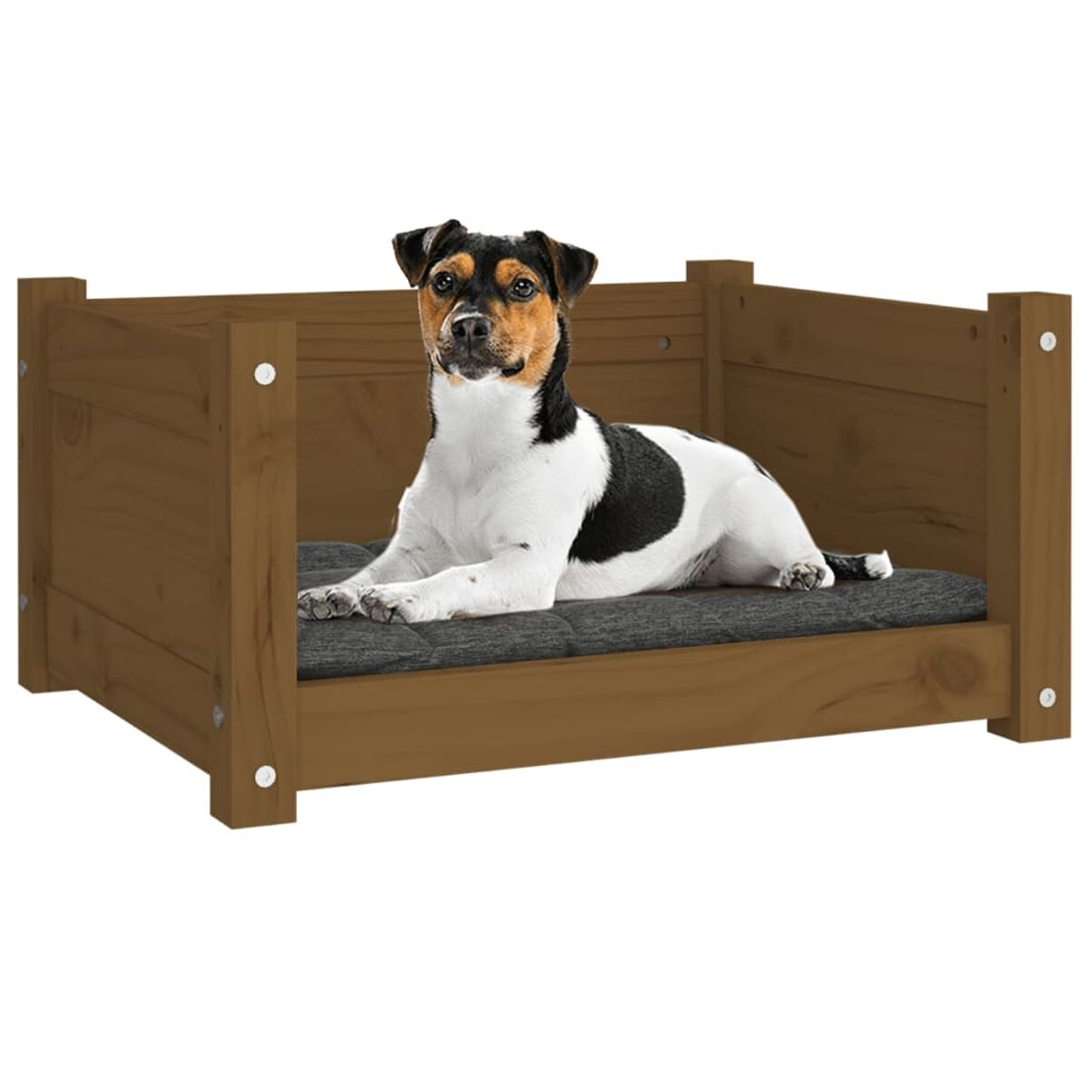 Hund in einem Holzbett mit grauem Kissen, Blick in die Kamera.