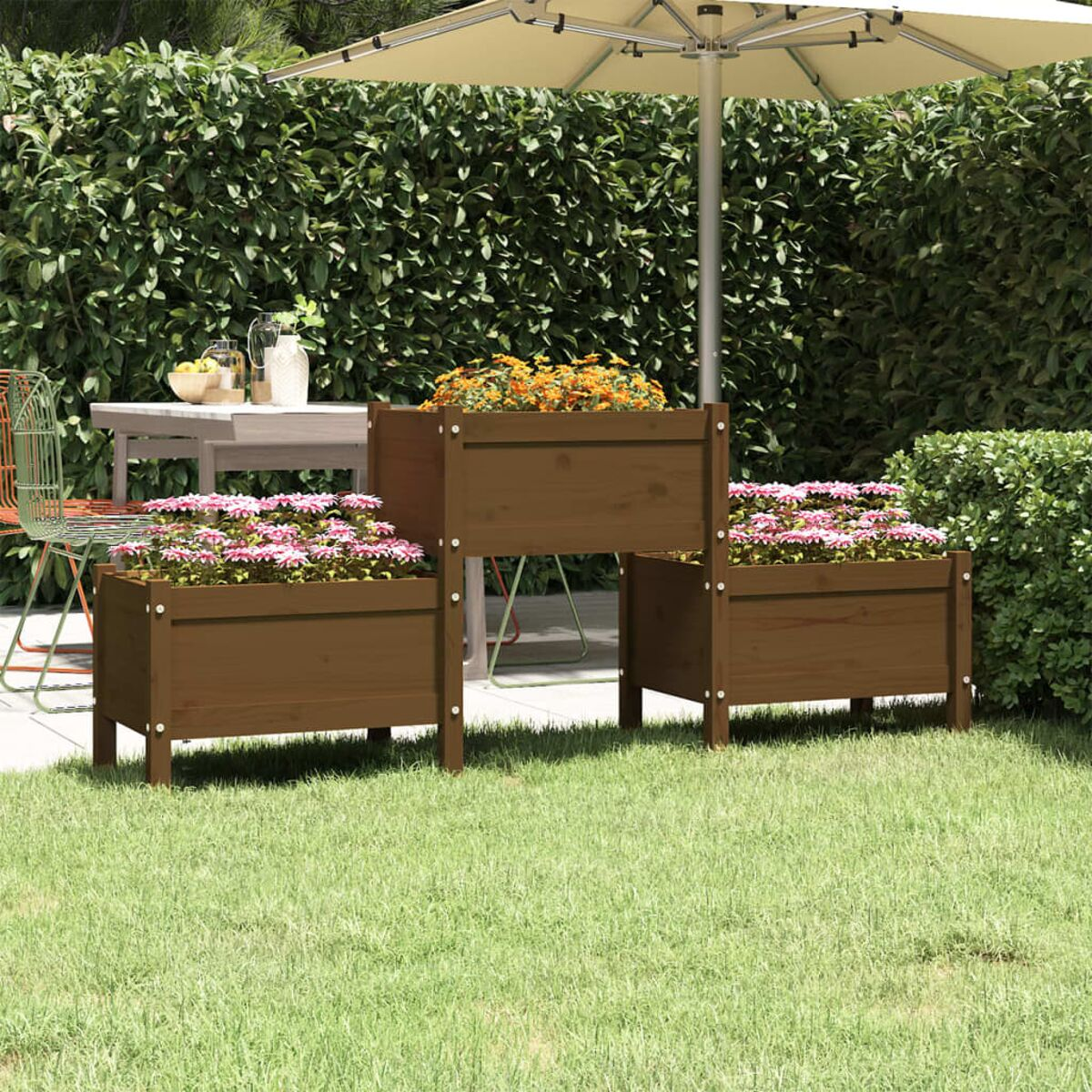 Drei Holzpflanzkästen mit Blumen auf einem grünen Rasen mit weißem Sonnenschirm und Hecke.
