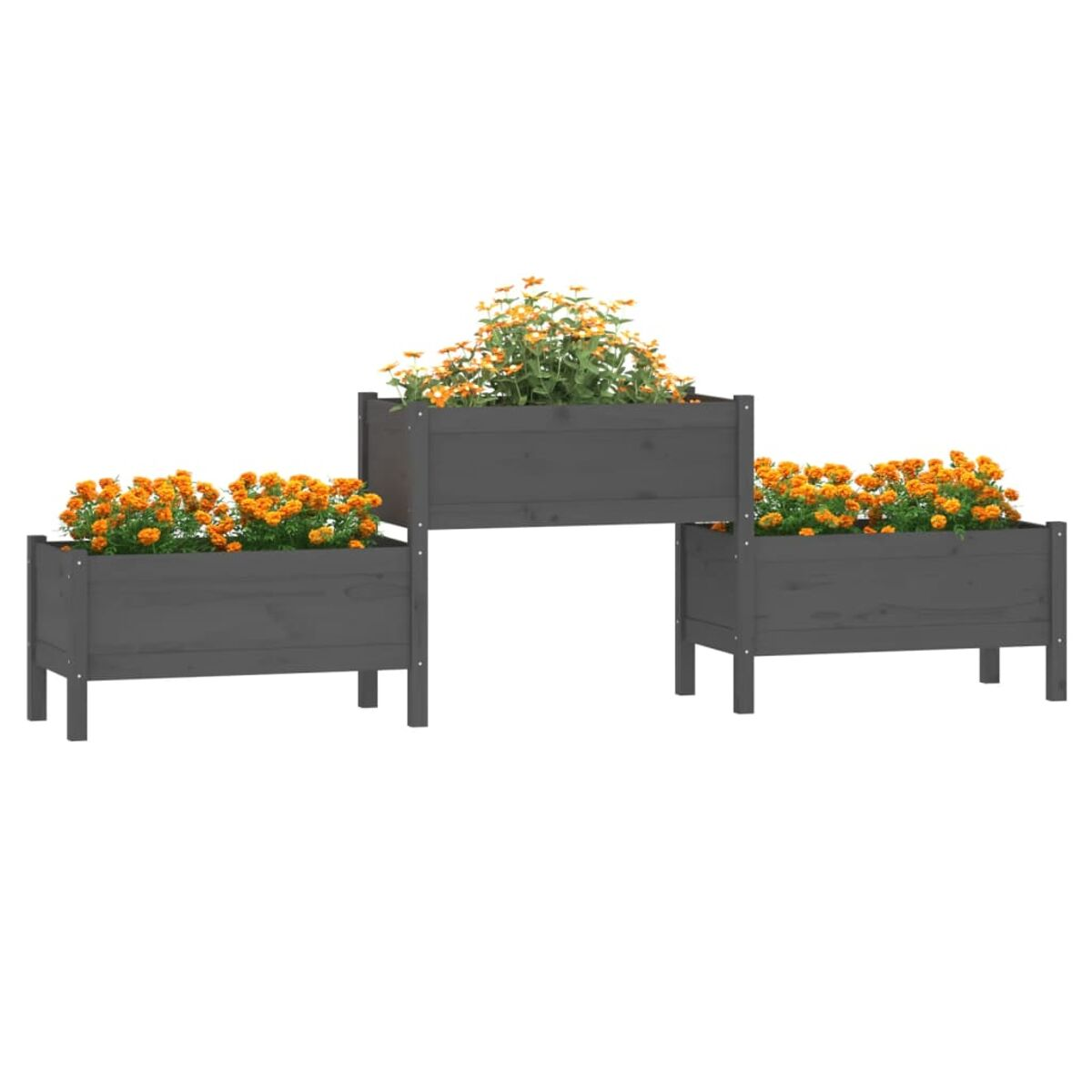 Drei graue Holzpflanzgefäße gefüllt mit orangefarbenen Blumen. Sie sind versetzt angeordnet.
