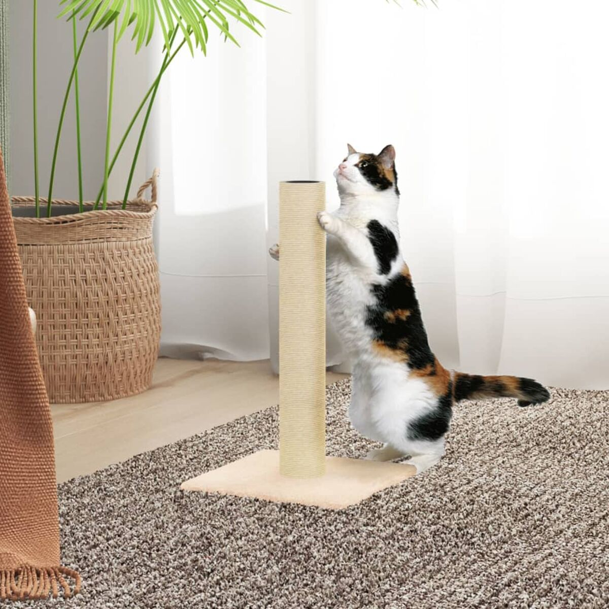 Eine Schildpattkatze, die sich an einem Kratzbaum im Innenbereich streckt, im Hintergrund eine Pflanze.
