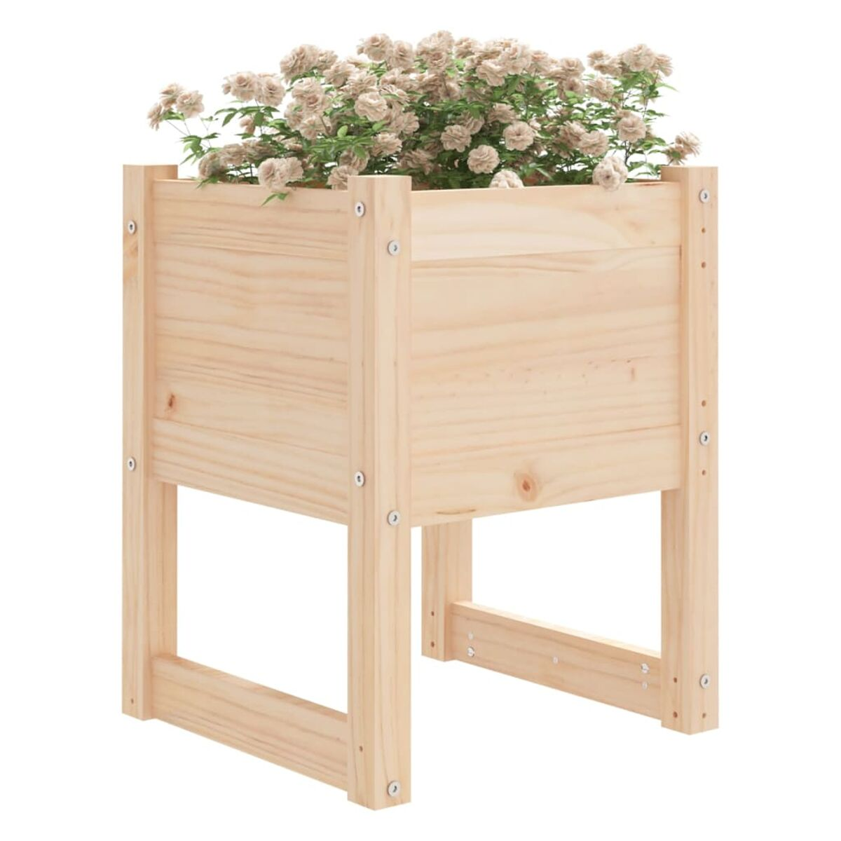 Holzpflanzer mit Blumen. Weißer Hintergrund.