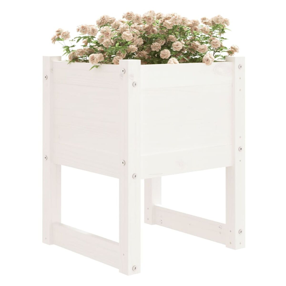 Weißer Holzblumentopf mit quadratischer Form und hellrosa Blumen, auf Weiß.