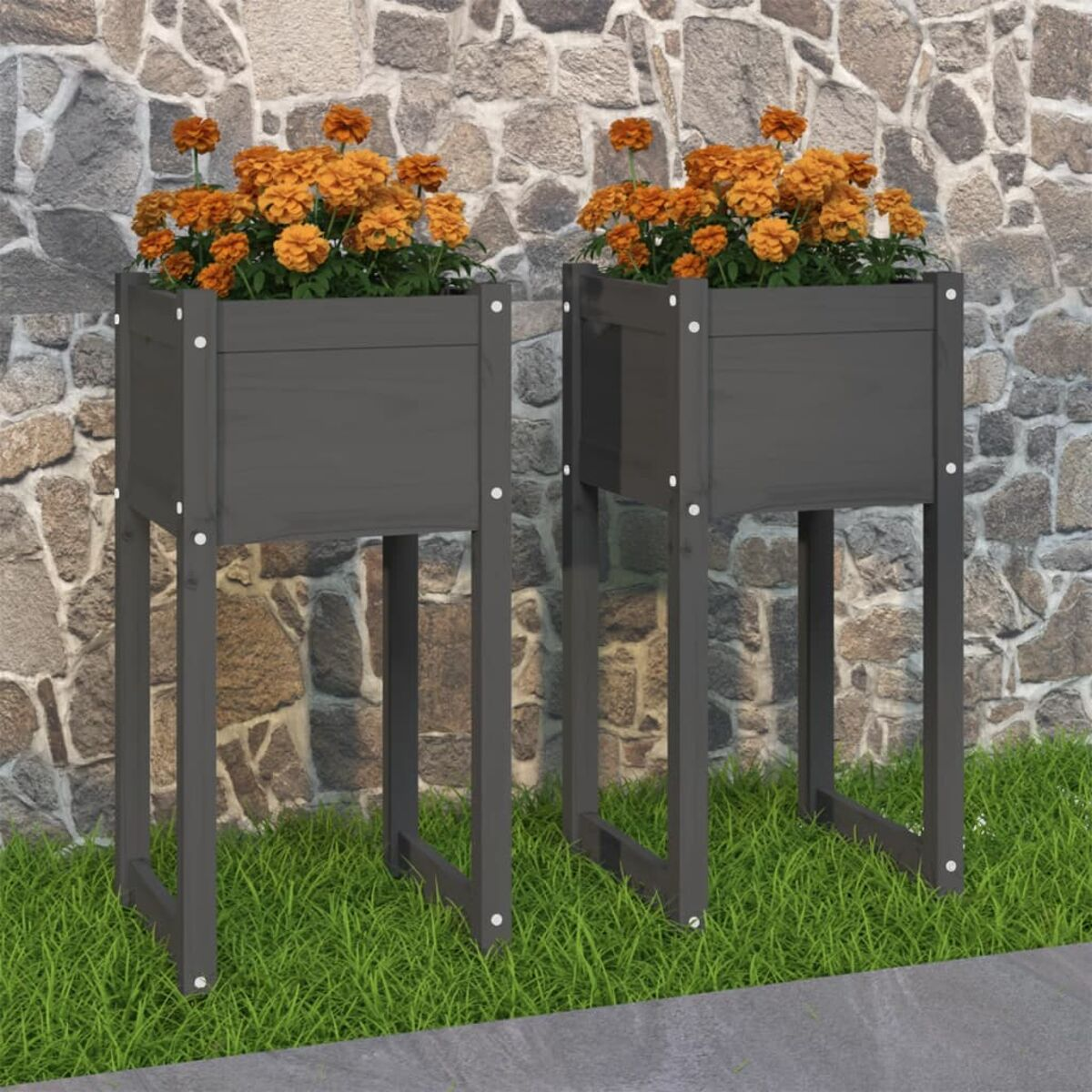 Zwei graue Pflanzkübel mit orangen Blumen.
