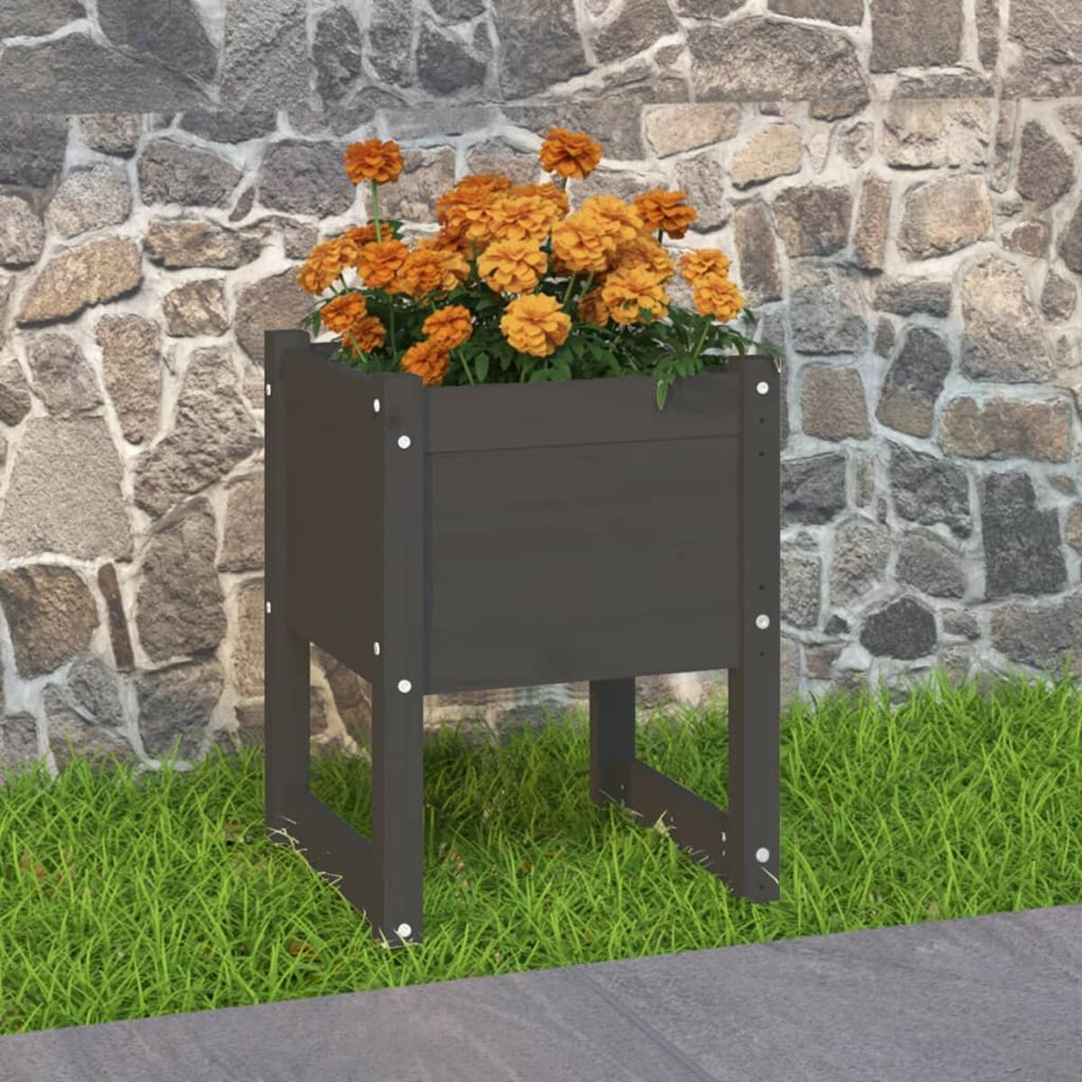 Dunkelgrauer Pflanzkasten aus Holz mit orangefarbenen Blumen. Auf Steinpflaster und Gras.
