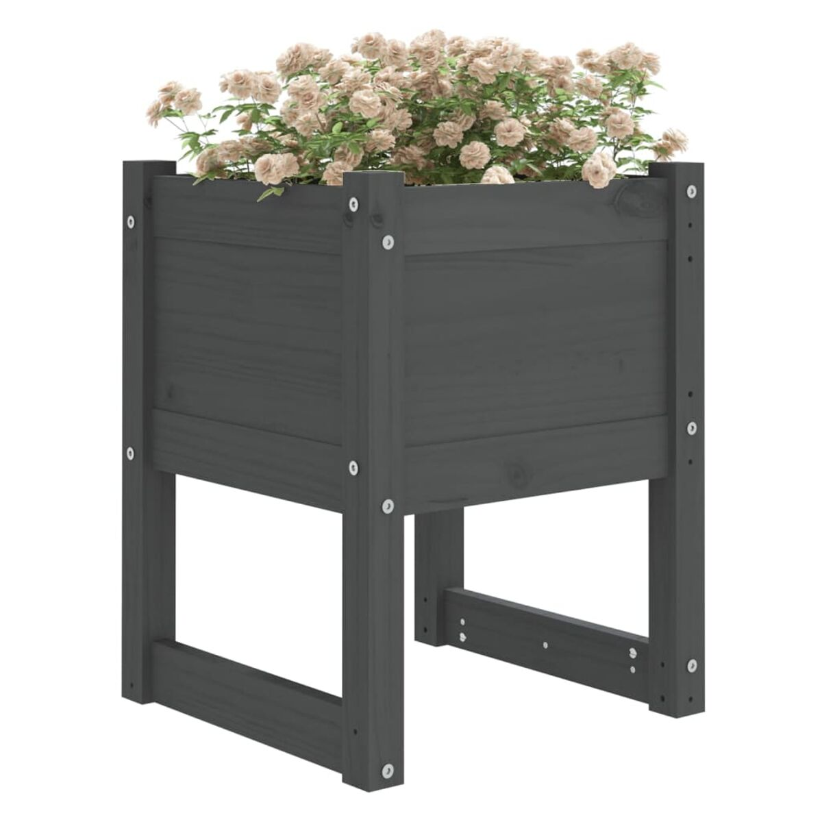 Eine hohe, dunkelgraue Holzkasten mit rosa Blumen gefüllt.