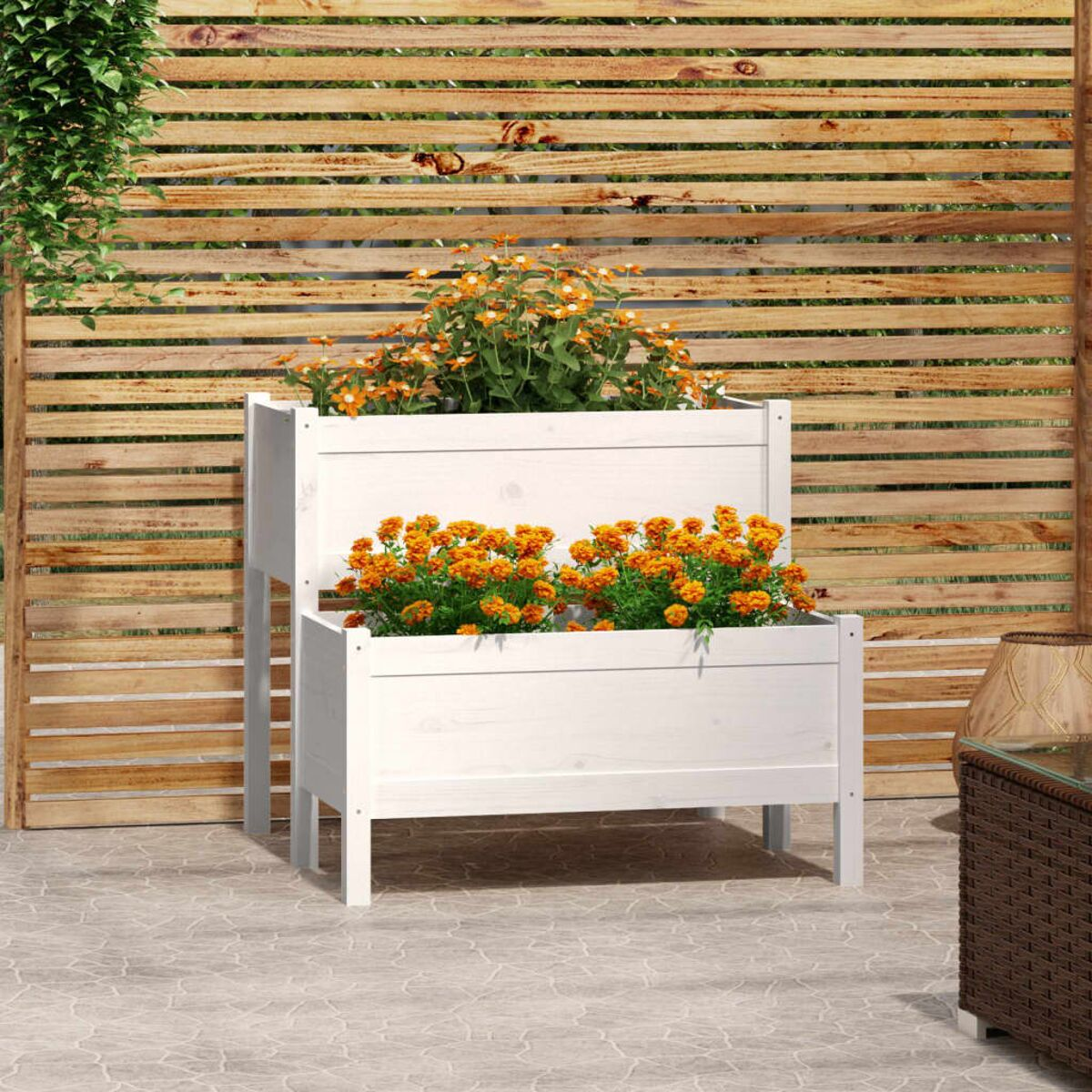 Weißer Holz-Pflanzkasten mit orangen Blumen. Zweistufiges Design, Pflanzen in voller Blüte.