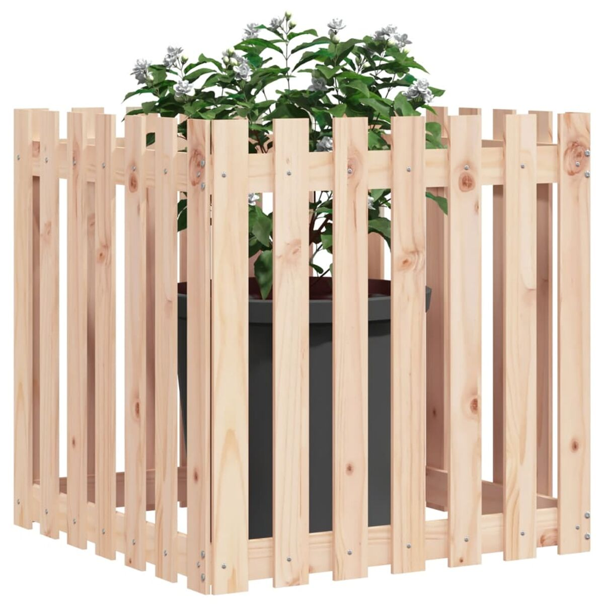 Ein Holzzaun umgibt eine Topfpflanze mit weißen Blüten und grünen Blättern.
