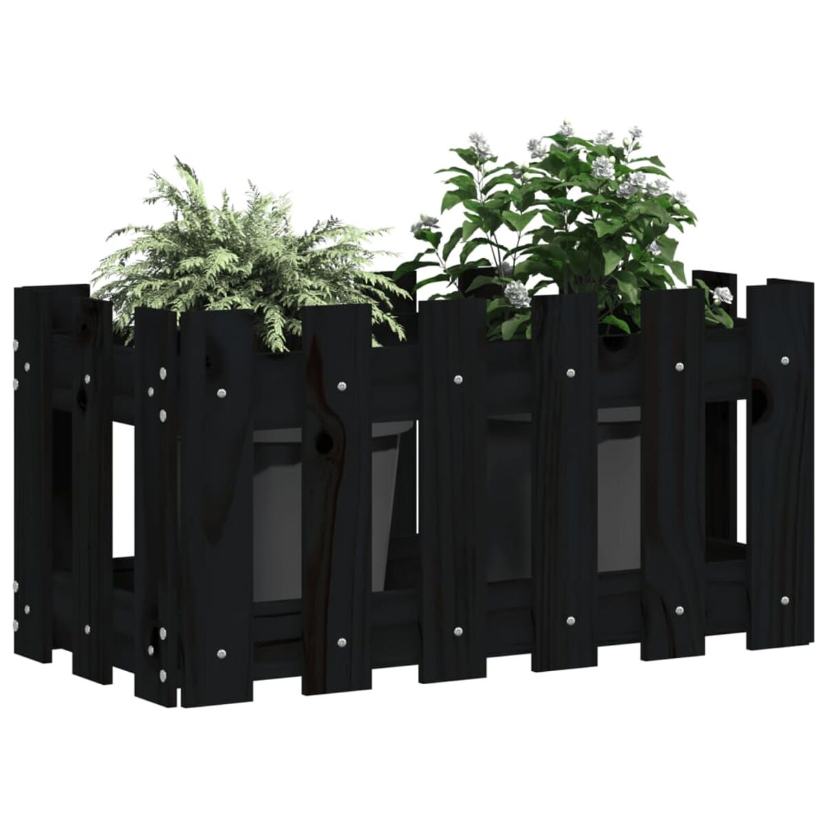Eine schwarze Holzpflanzkasten mit zwei Topfpflanzen. Die Pflanzen haben grüne Blätter und weiße Blüten.