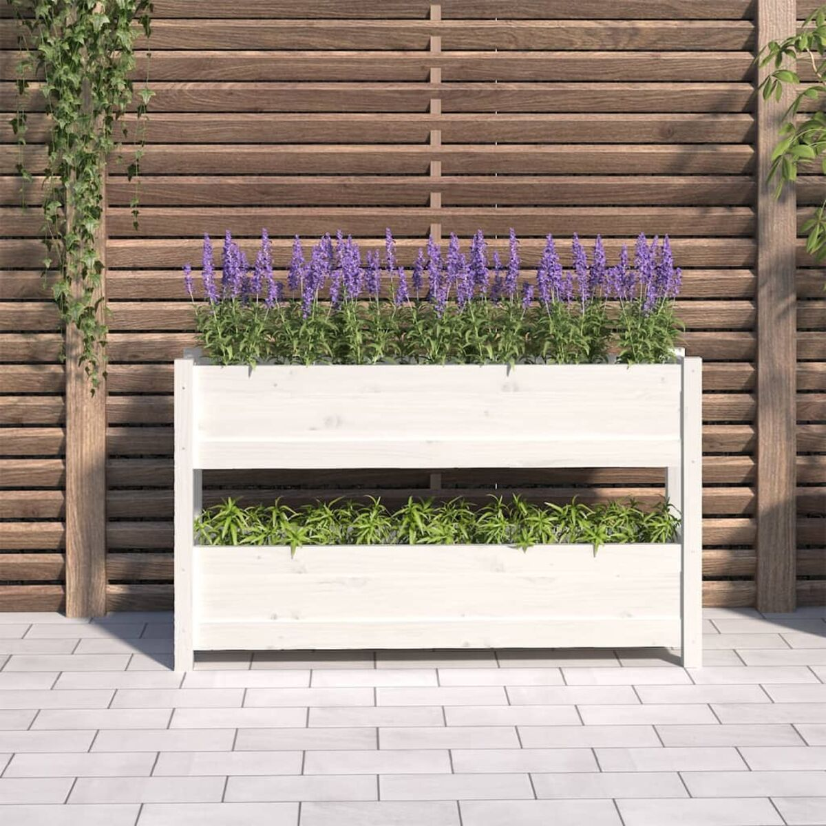 Weißer Pflanzkasten mit Lavendel und Grün vor Holzzaun.