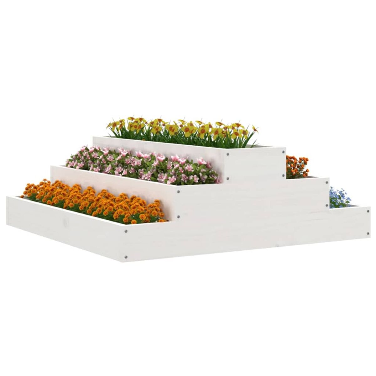 Weißer, gestufter Pflanzkasten, gefüllt mit bunten Blumen. Weißer Hintergrund.