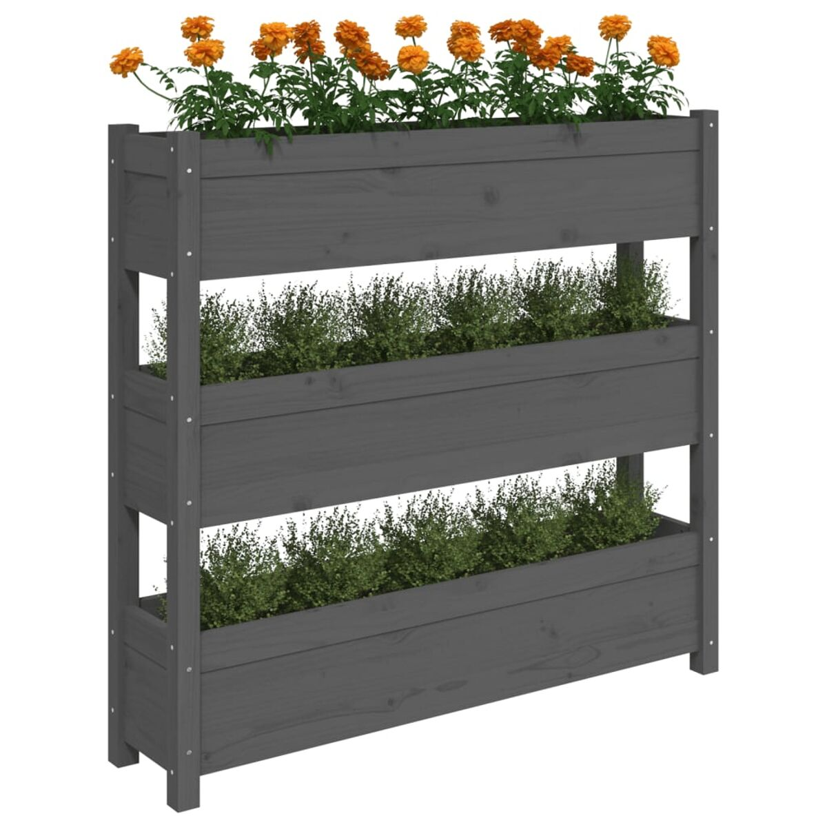 Dreistöckiger grauer Pflanzkasten. Orangefarbene Blumen oben. Grüne Pflanzen in Kisten. Weißer Hintergrund.
