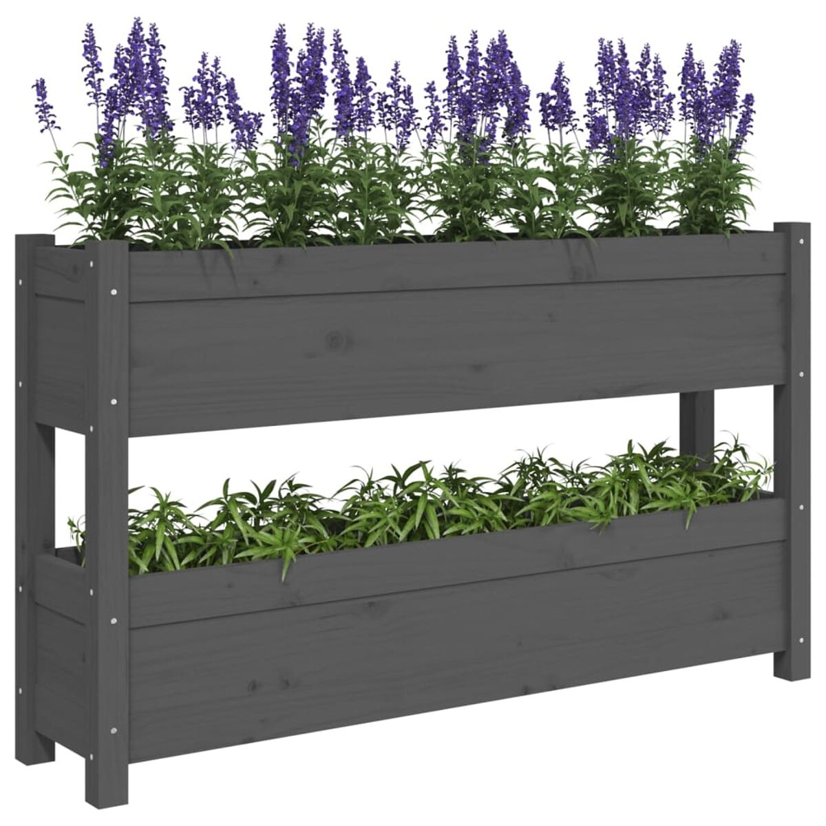 Ein grauer Holzpflanzer mit zwei Ebenen, der grüne und violette Pflanzen enthält.