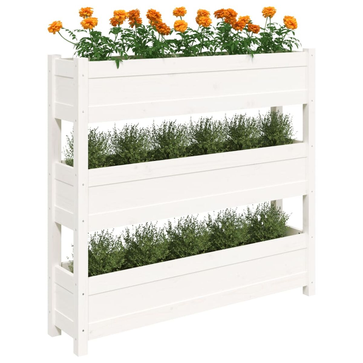Weißer Holzpflanzer mit drei Ebenen grüner Pflanzen und orangefarbenen Blumen.