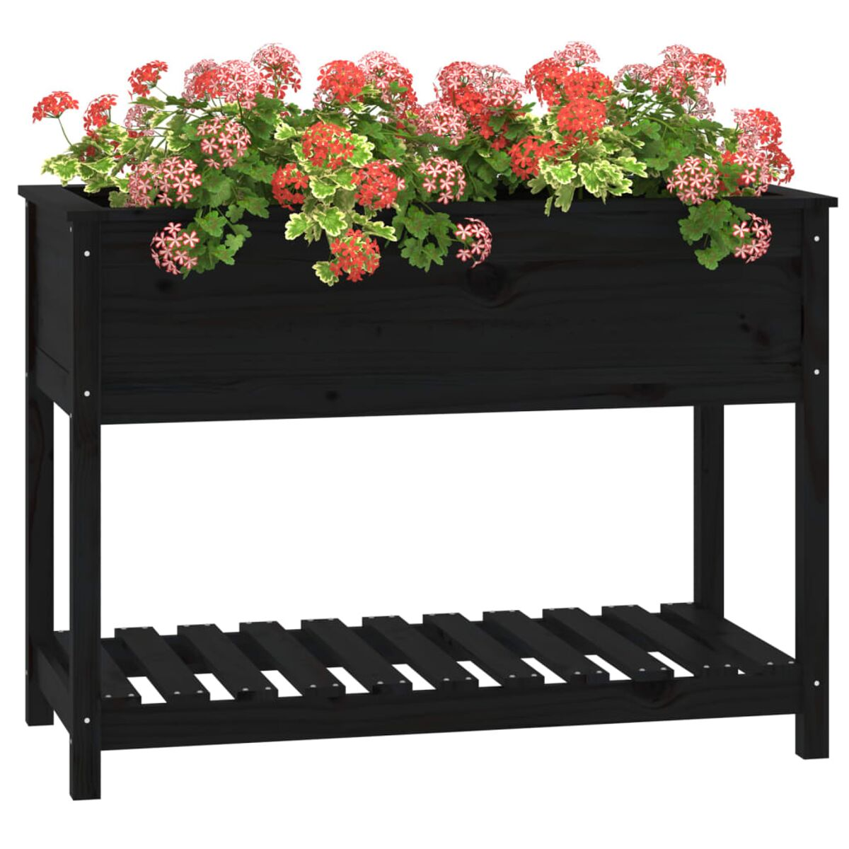 Schwarzer Pflanzkasten aus Holz mit roten Blumen. Hat ein Regal darunter.