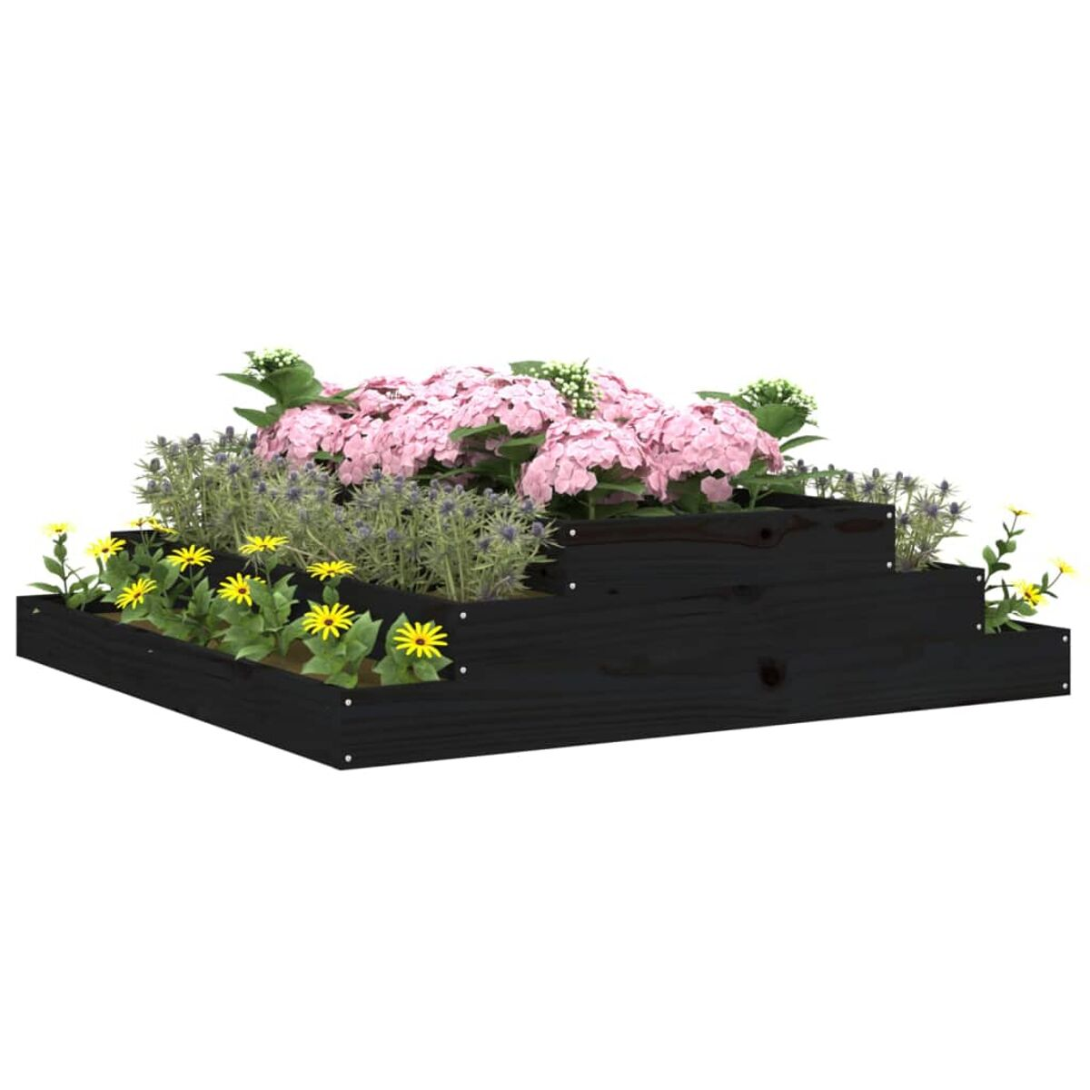 Erhöhtes Gartenbeet mit verschiedenen Blumen und Pflanzen, schwarzer Rahmen.