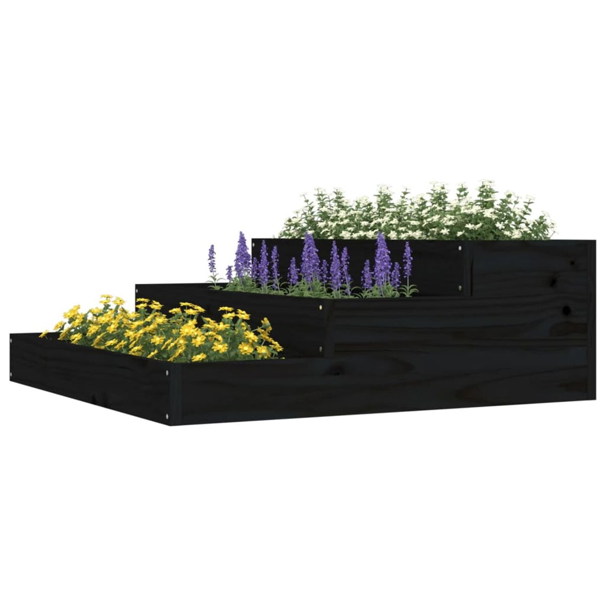 Schwarzer, mehrstufiger Pflanzkasten mit gelben, lila und weißen Blumen. Die Box steht auf weißem Grund.