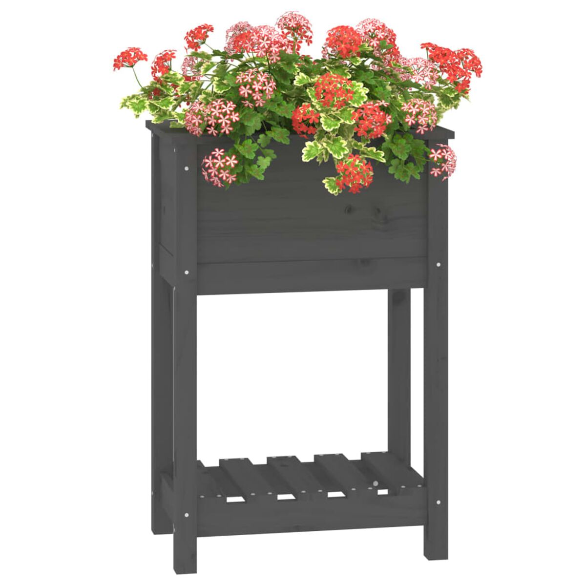 Dunkelgrauer Holzblumenkasten mit Blumen, auf weißem Hintergrund.