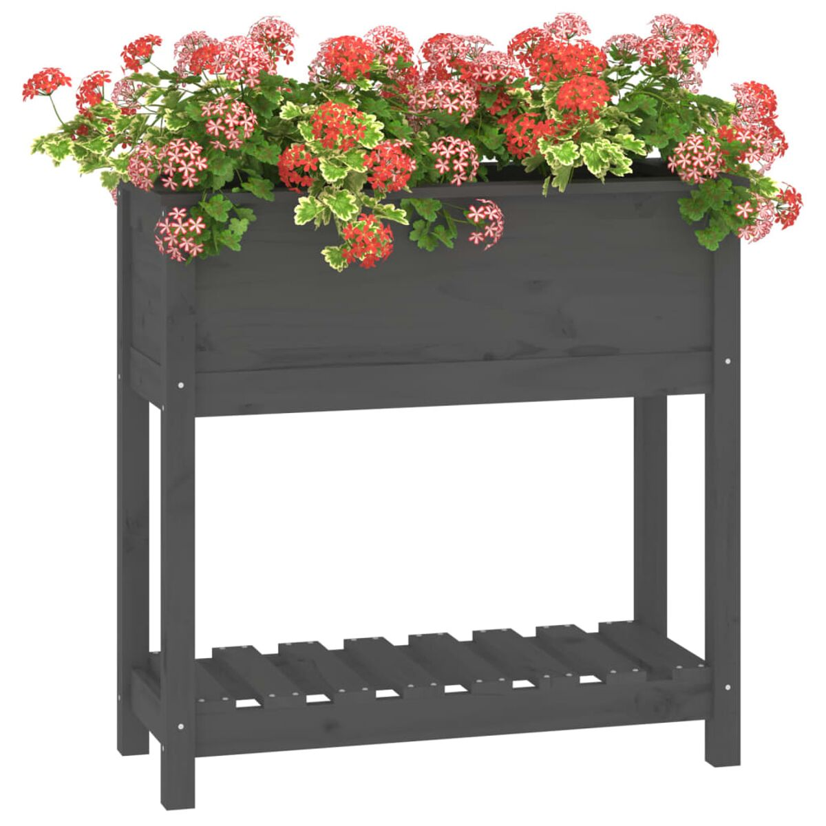 Schwarzer Holzpflanzer mit roten Blumen. Der Pflanzer befindet sich auf weißem Hintergrund.