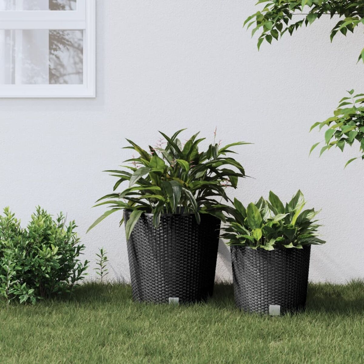 Zwei schwarze Weidenkörbe mit grünen Pflanzen. Der Hintergrund ist eine weiße Wand und Gras.