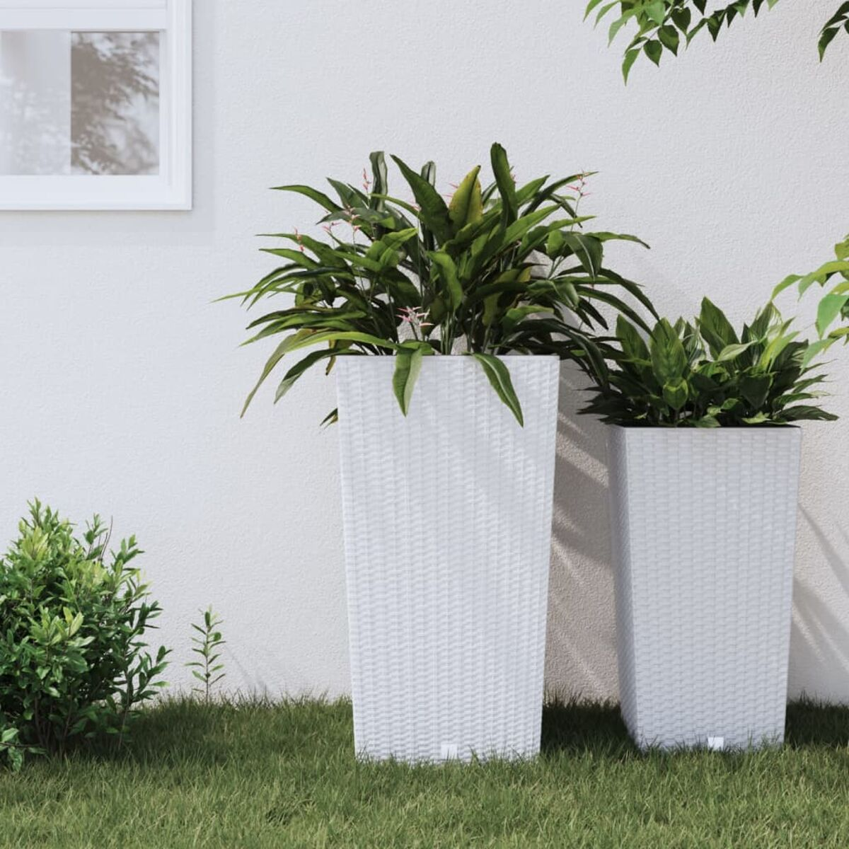 Zwei weiße Pflanzgefäße mit grünen Pflanzen auf Gras. Weiße Wand im Hintergrund, kleiner Busch links.