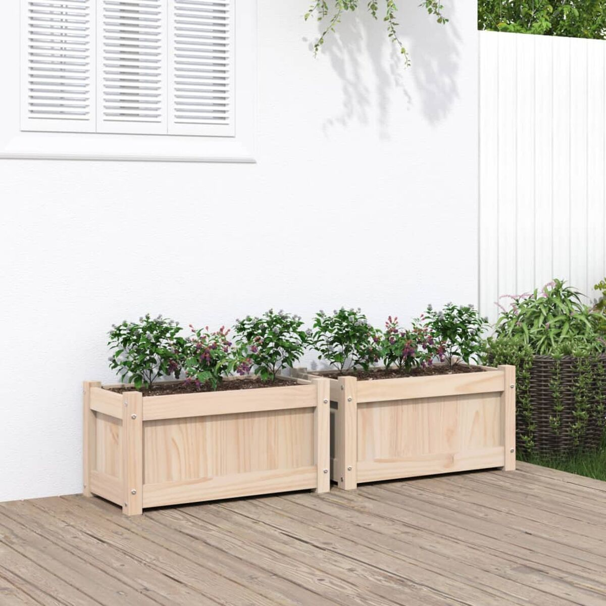 Zwei Holzpflanzkästen mit Pflanzen stehen auf einer Terrasse. Eine weiße Wand und ein Fenster sind im Hintergrund.