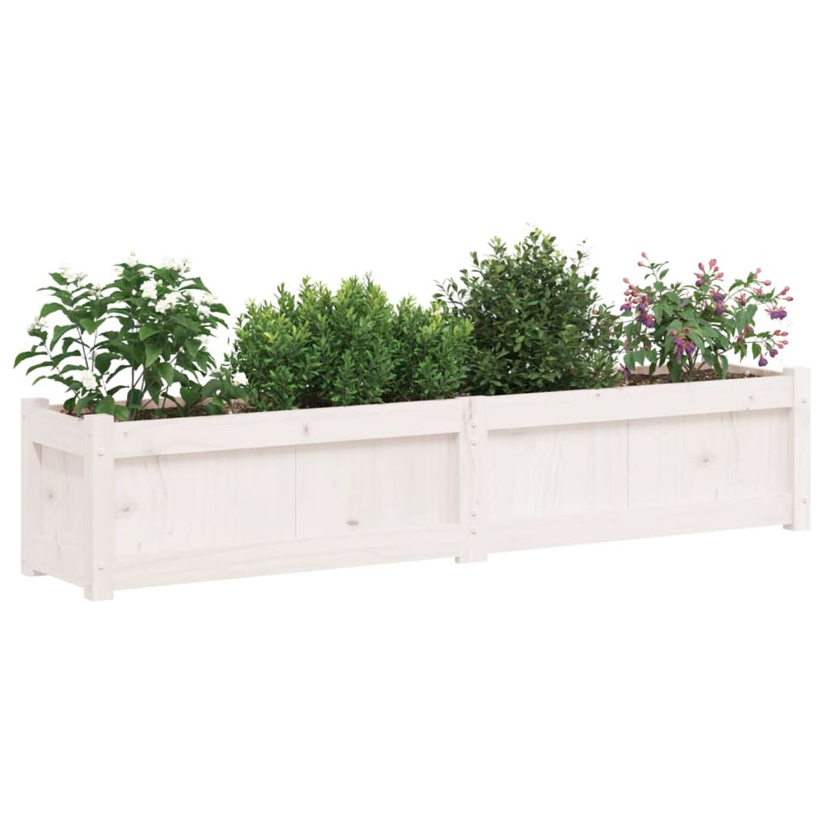Ein langer, weißer Holzblumenkasten mit Pflanzen. Der Pflanzkasten ist mit Grün und Blumen gefüllt.