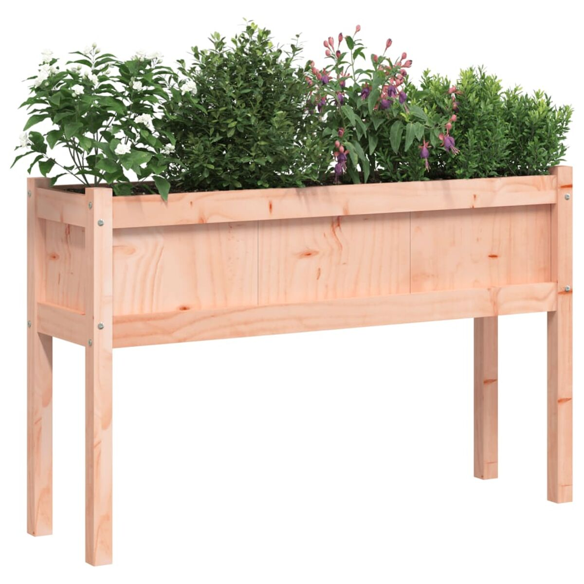 Holzpflanzer mit Pflanzen. Die Pflanzen haben grüne und lila Farben. Weißer Hintergrund.