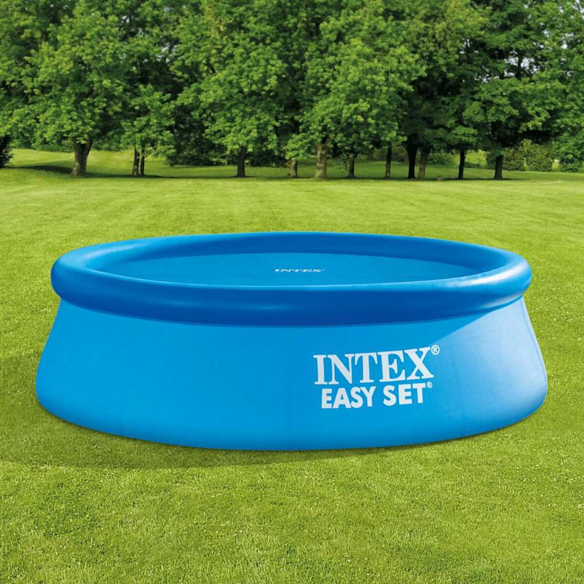 Blauer Intex Easy Set Pool auf grünem Gras. Der Text lautet: INTEX EASY SET.