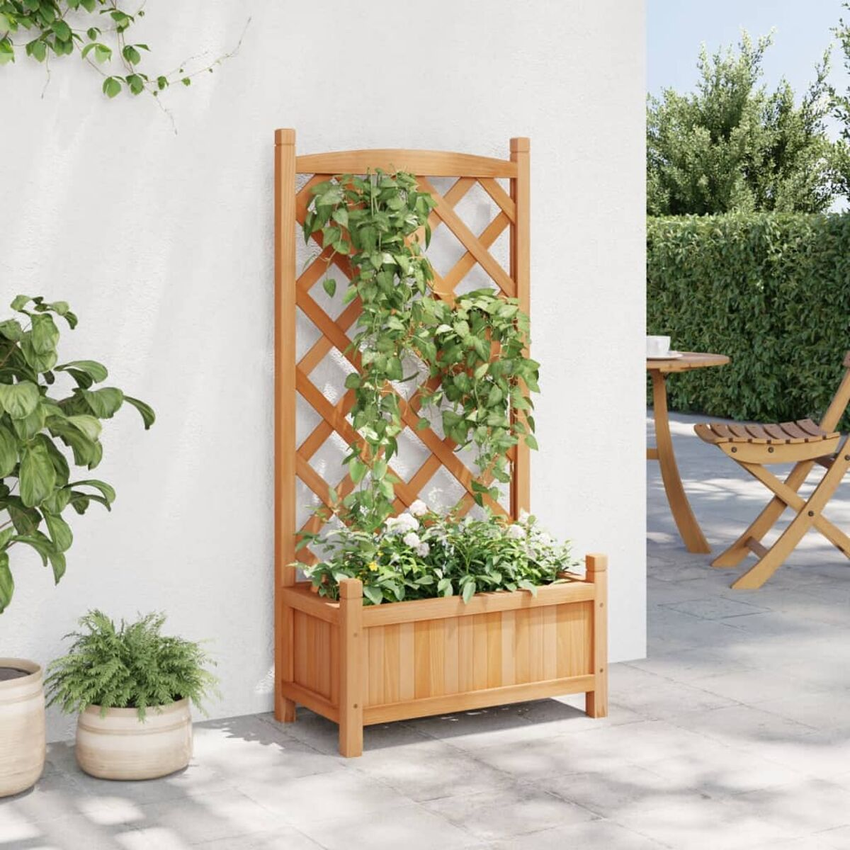 Holzpflanzer mit Spalier. Grüne Weinreben und weiße Blumen. Vor einer weißen Wand im Freien.