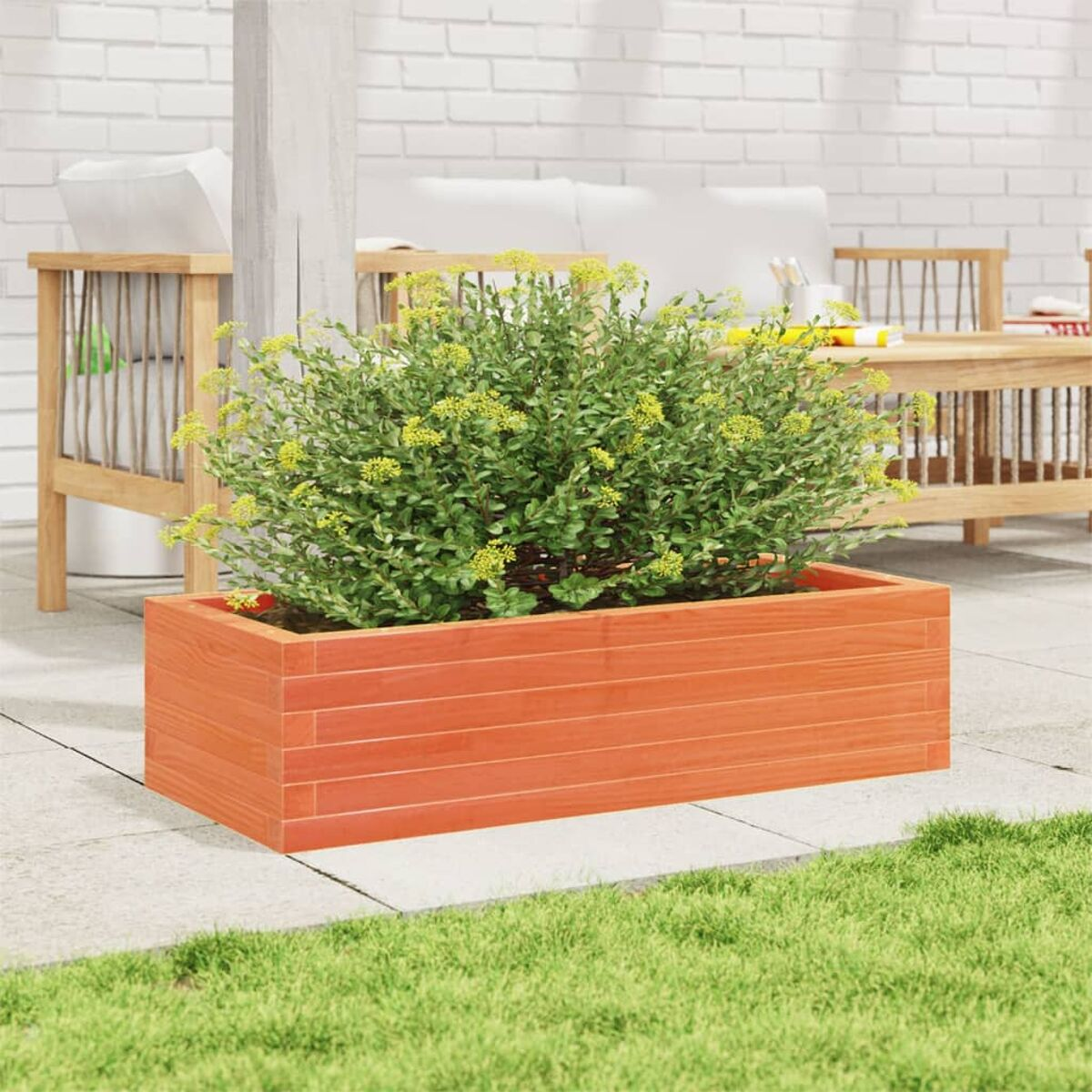 Orangene Holzkiste mit grüner Pflanze und gelben Blüten, auf einer Terrasse mit weißen Möbeln.