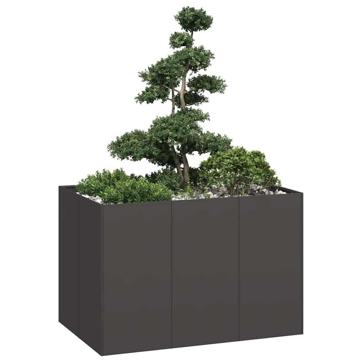 Un'aiuola grigio scuro con vegetazione e un piccolo albero all'interno. L'aiuola ha un design moderno.