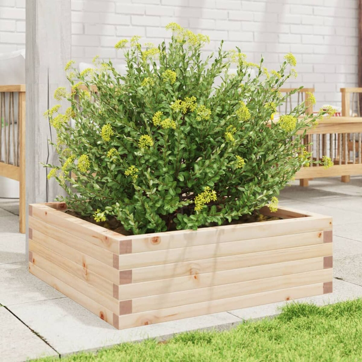 Holzpflanzkasten mit Pflanze mit gelben Blüten. Draußen auf der Terrasse.