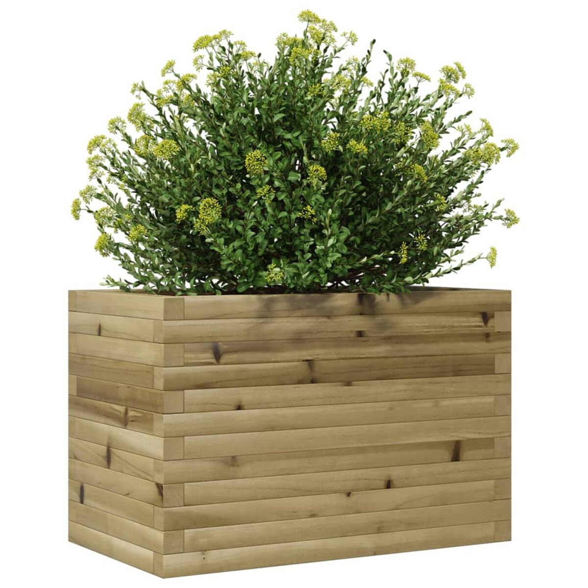 Ein hölzerner Pflanzkübel mit einem grünen Busch mit gelben Blüten oben.
