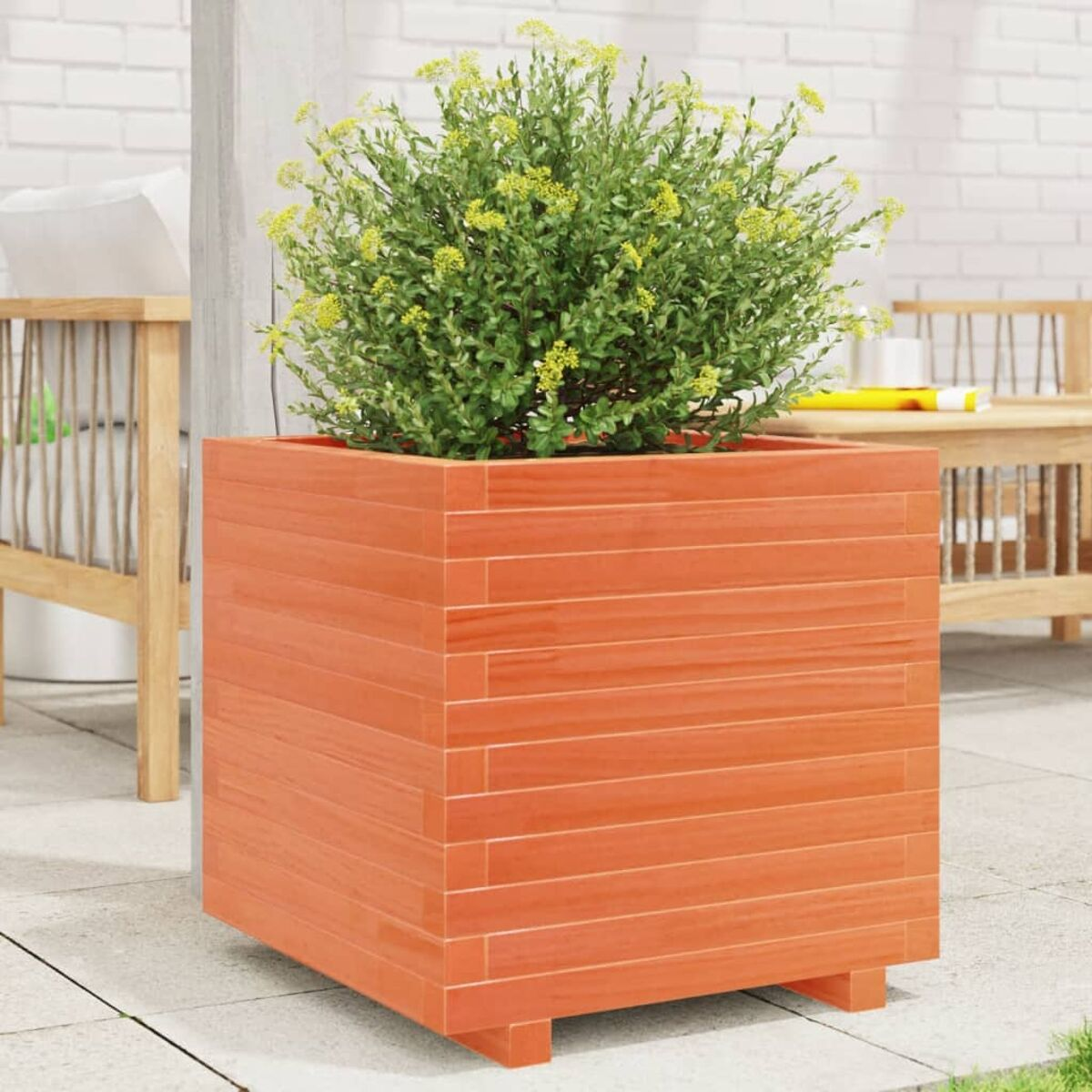 Orangener Holzpflanzkübel mit einem Busch darin. Der Pflanzkübel ist quadratisch und hat ein rustikales Design.