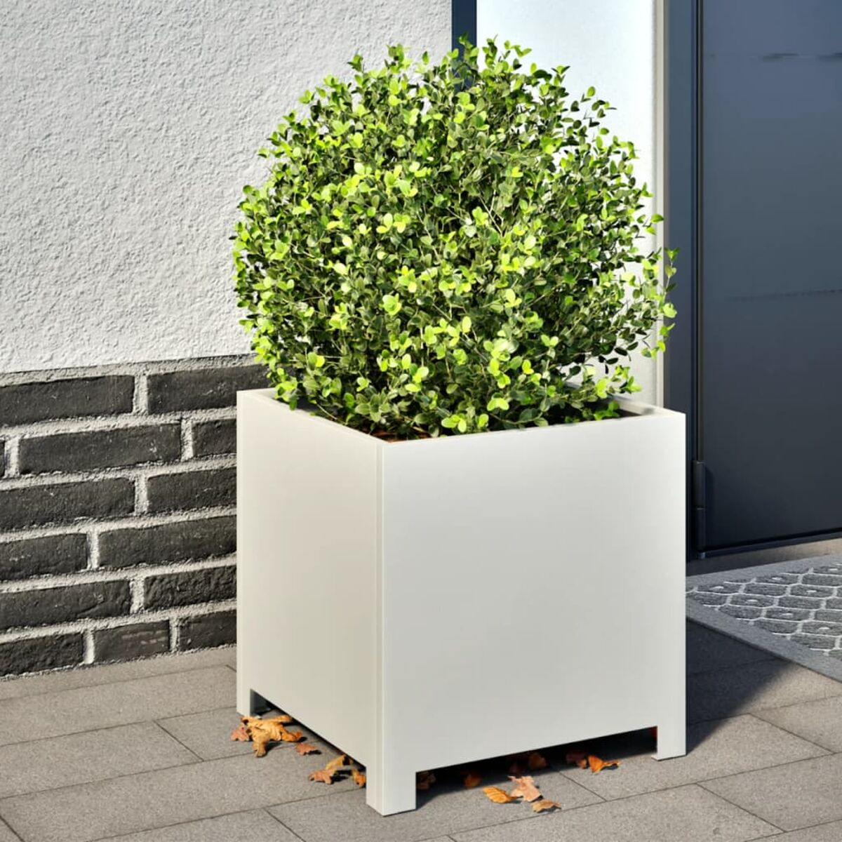 Fioriera quadrata bianca con pianta verde sferica, su un patio con muro di mattoni.