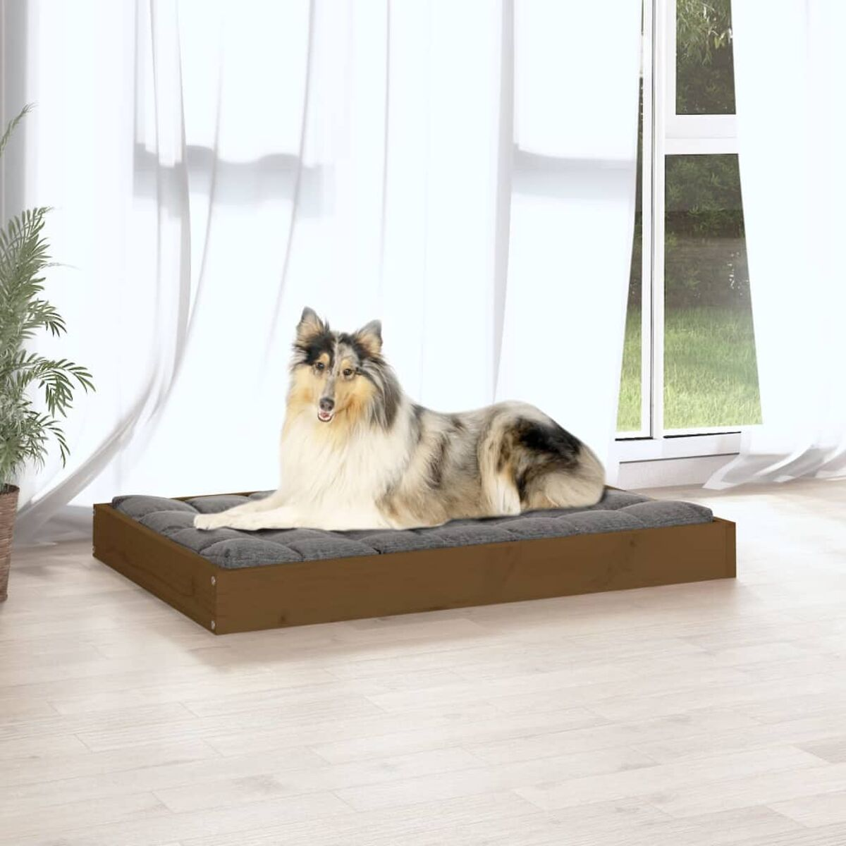 Hundebett mit Hund. Holzrahmen, graues Kissen, weißer Hintergrund.