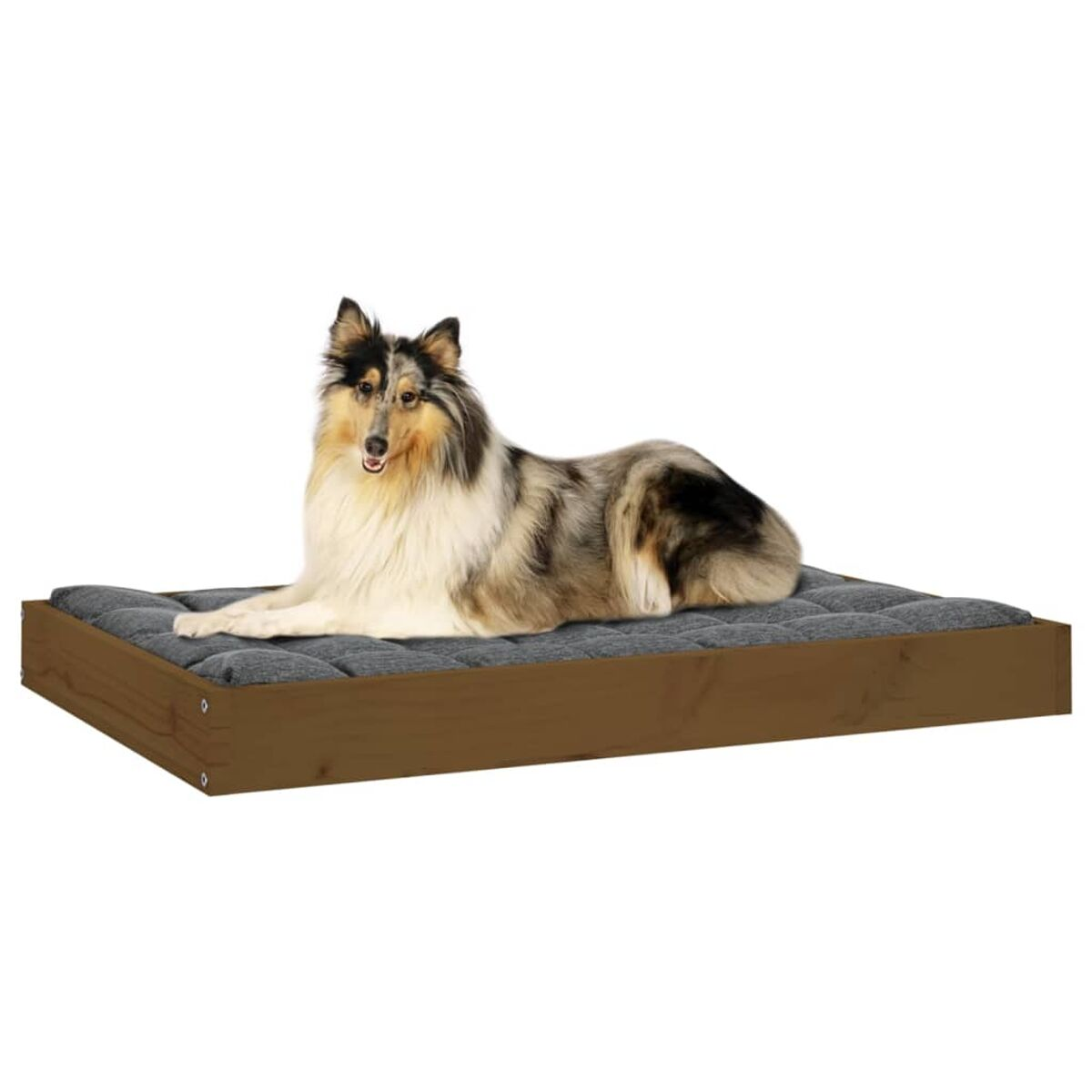 Ein dreifarbiger Collie-Hund liegt auf einem Hundebett mit Holzrahmen und grauer Auflage.