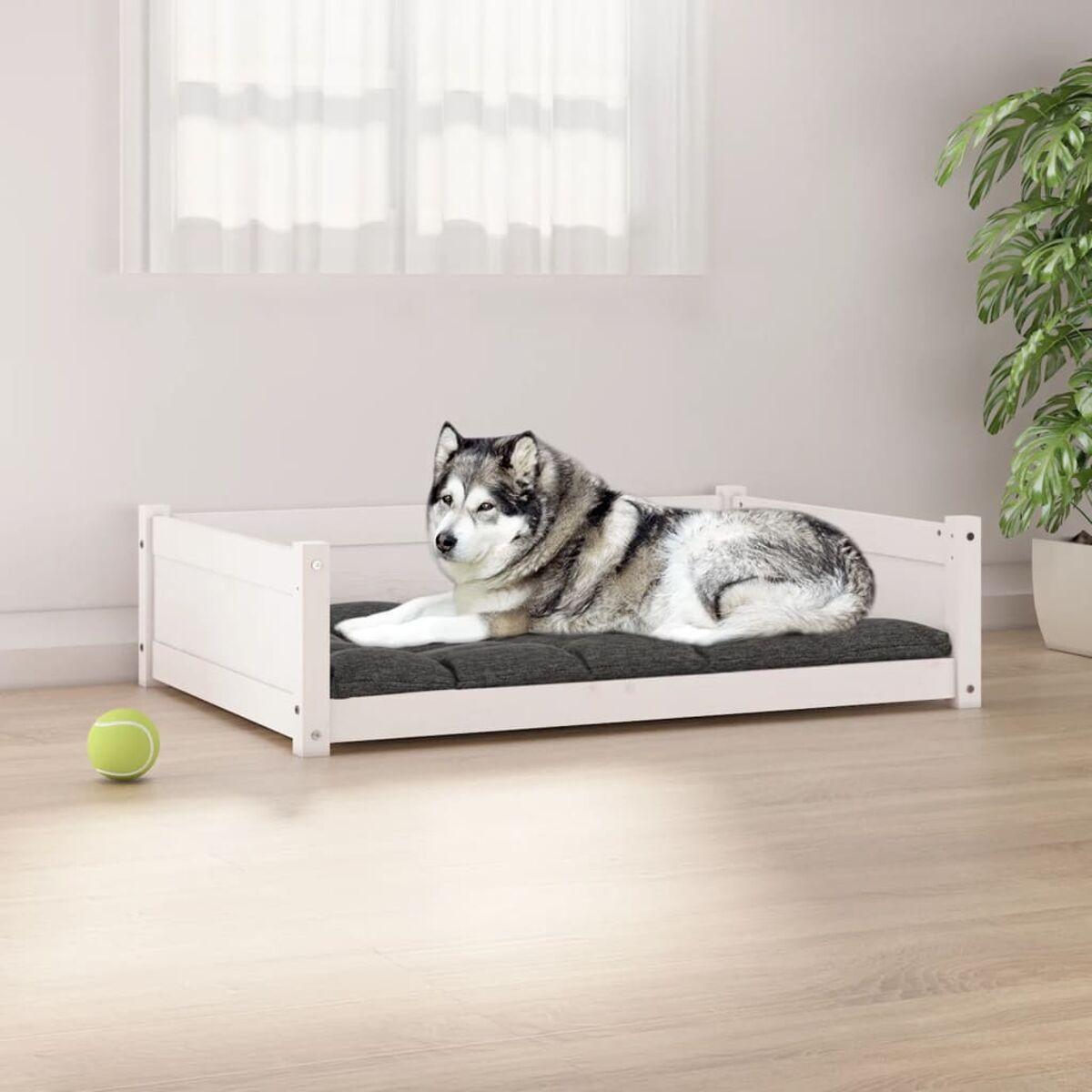 Hund in einem Hundebett. Das Bett ist weiß, der Hund grau und weiß.